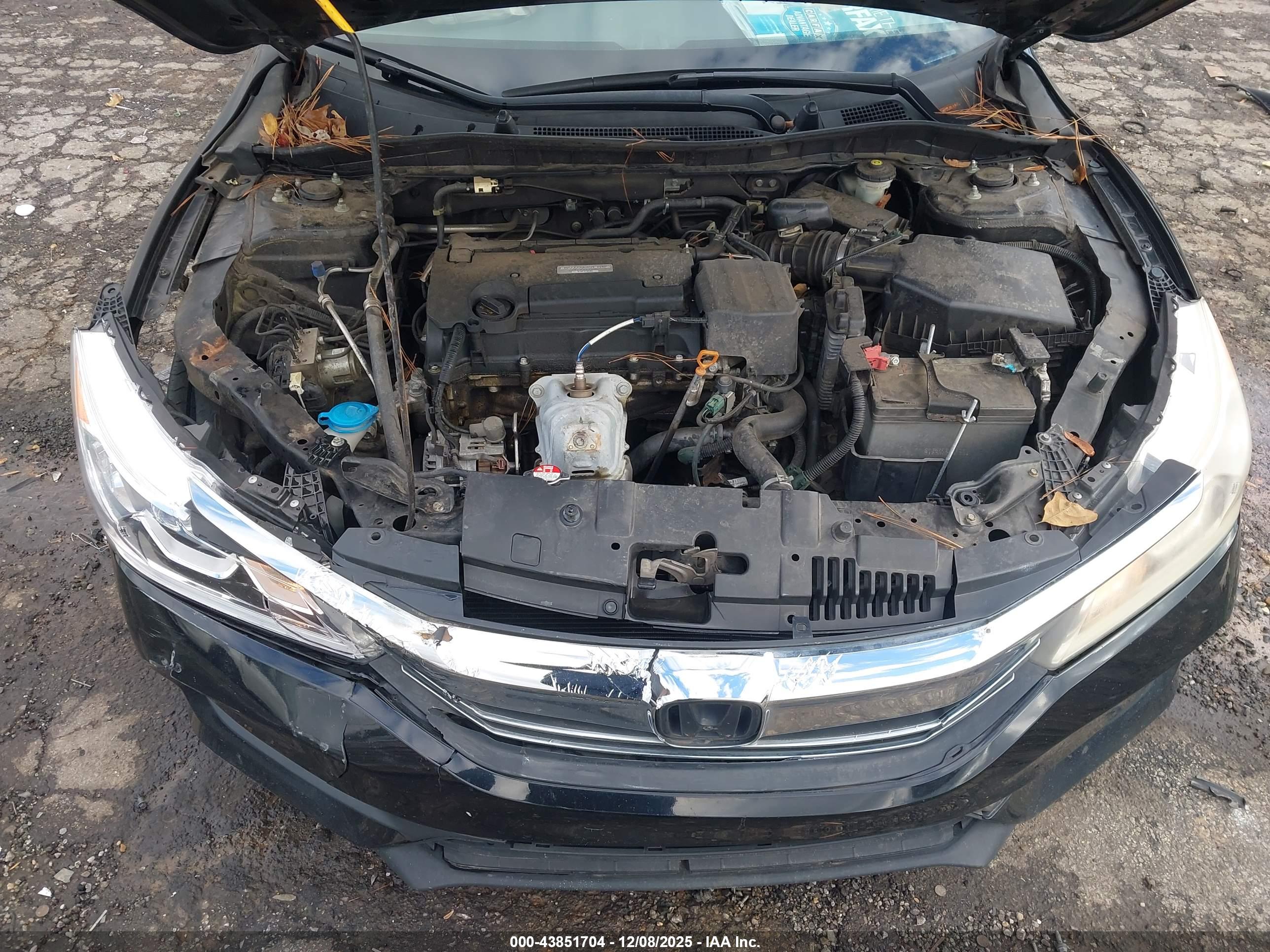 HONDA ACCORD image 10