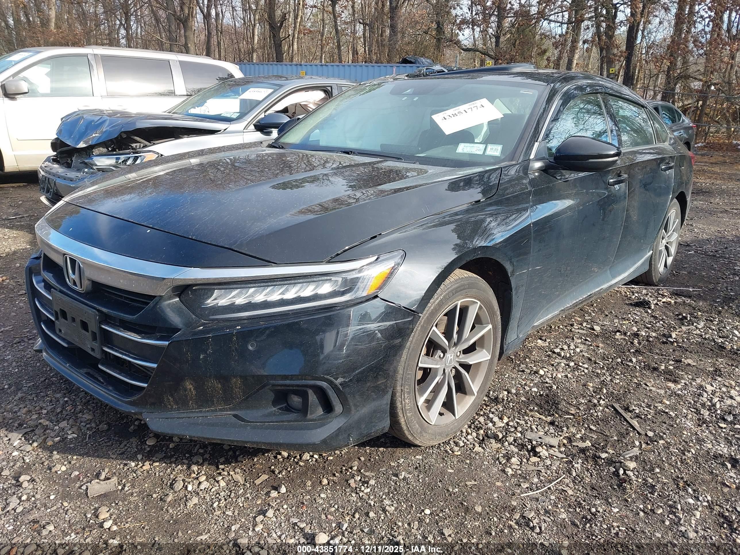 HONDA ACCORD image 2