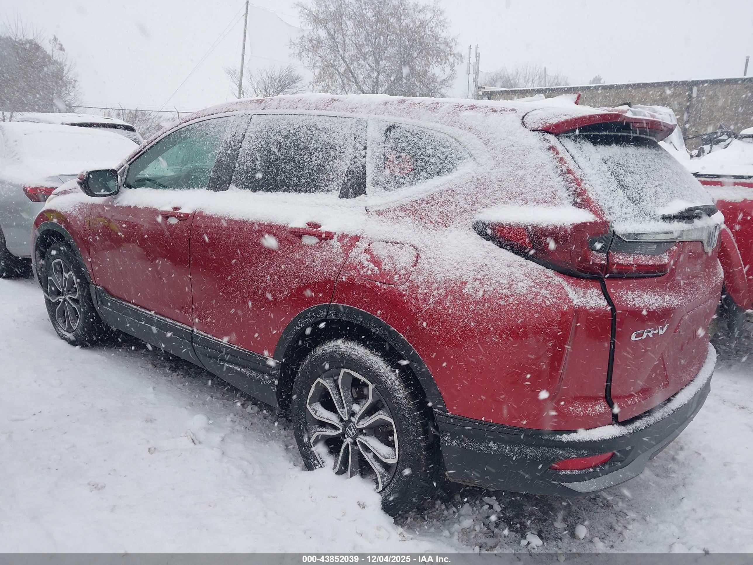 HONDA CR-V image 3
