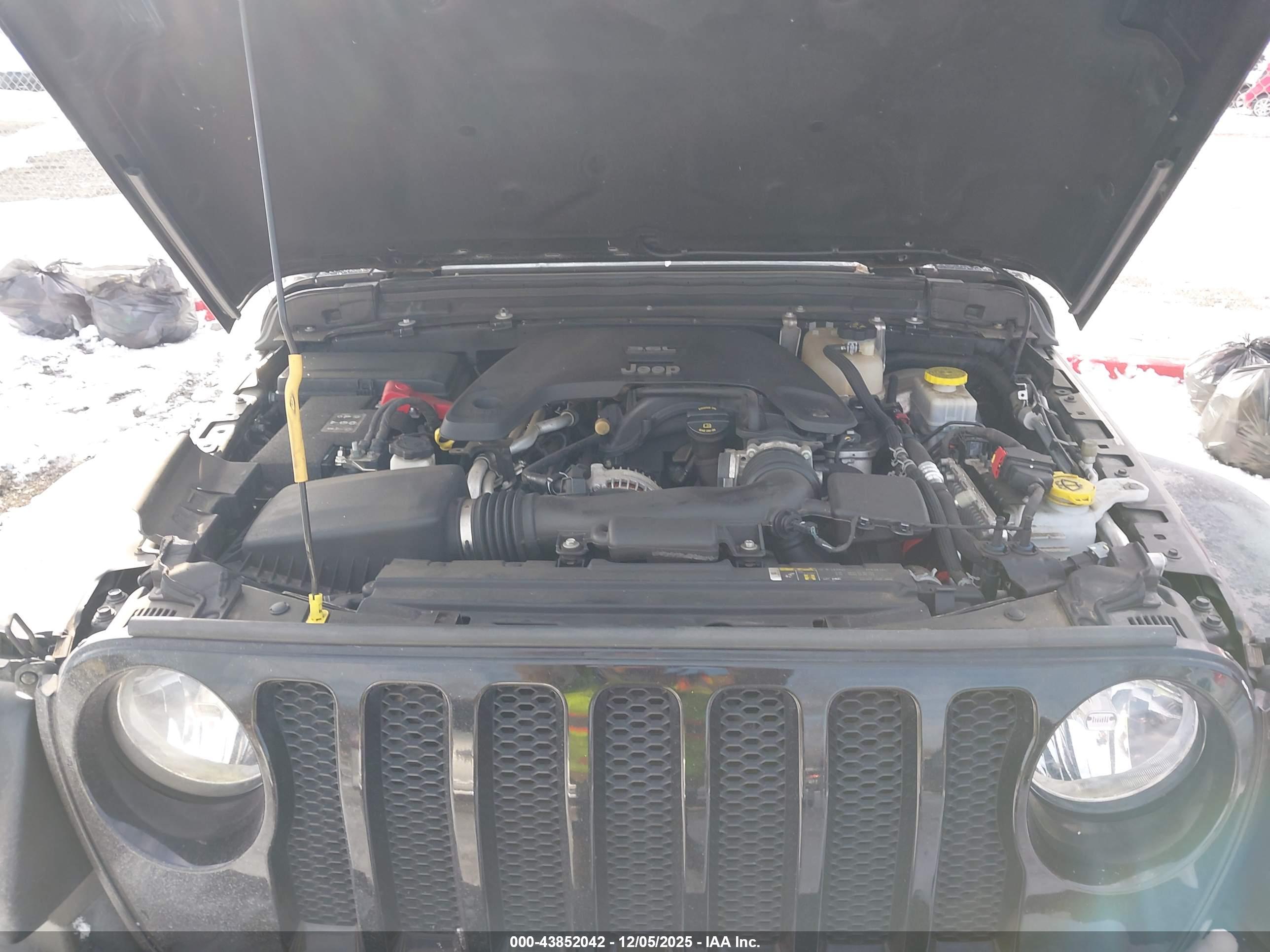 JEEP WRANGLER image 10