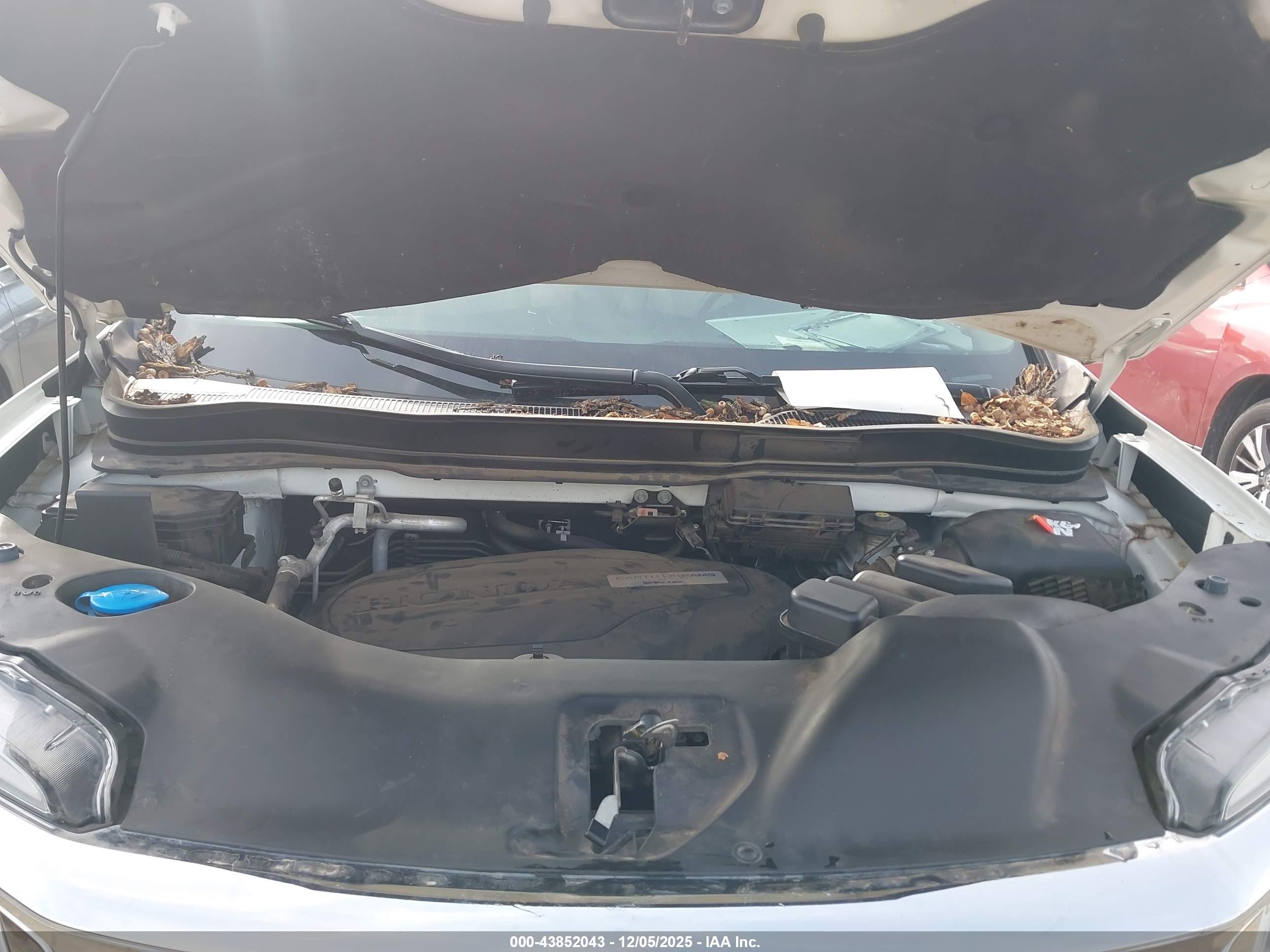 HONDA PILOT image 10