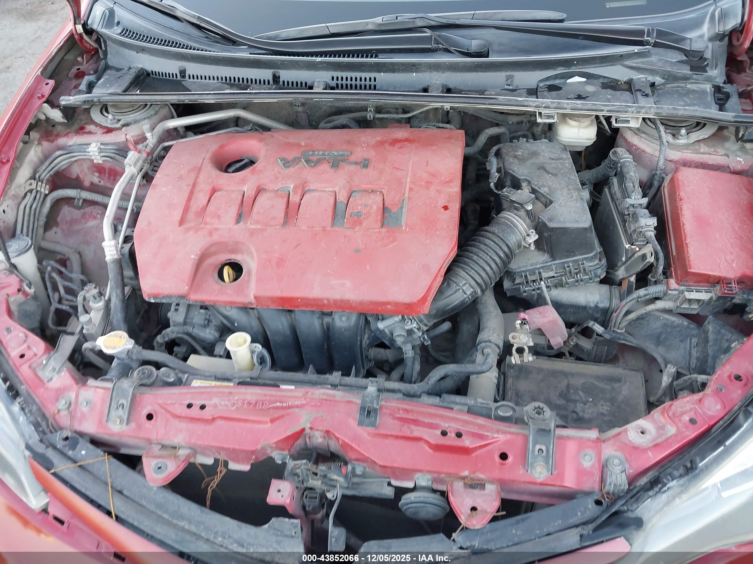 TOYOTA COROLLA image 10