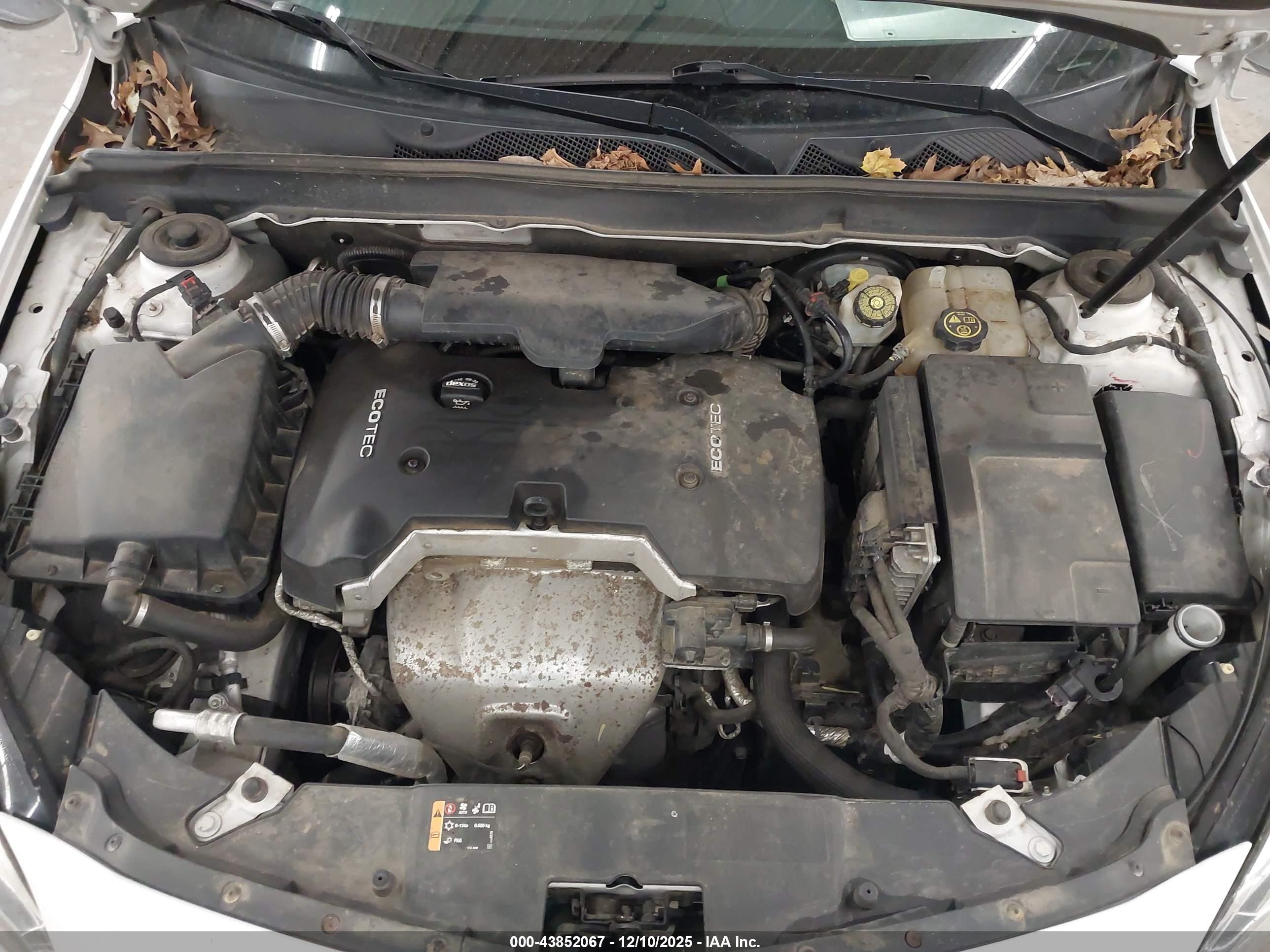 CHEVROLET MALIBU image 10
