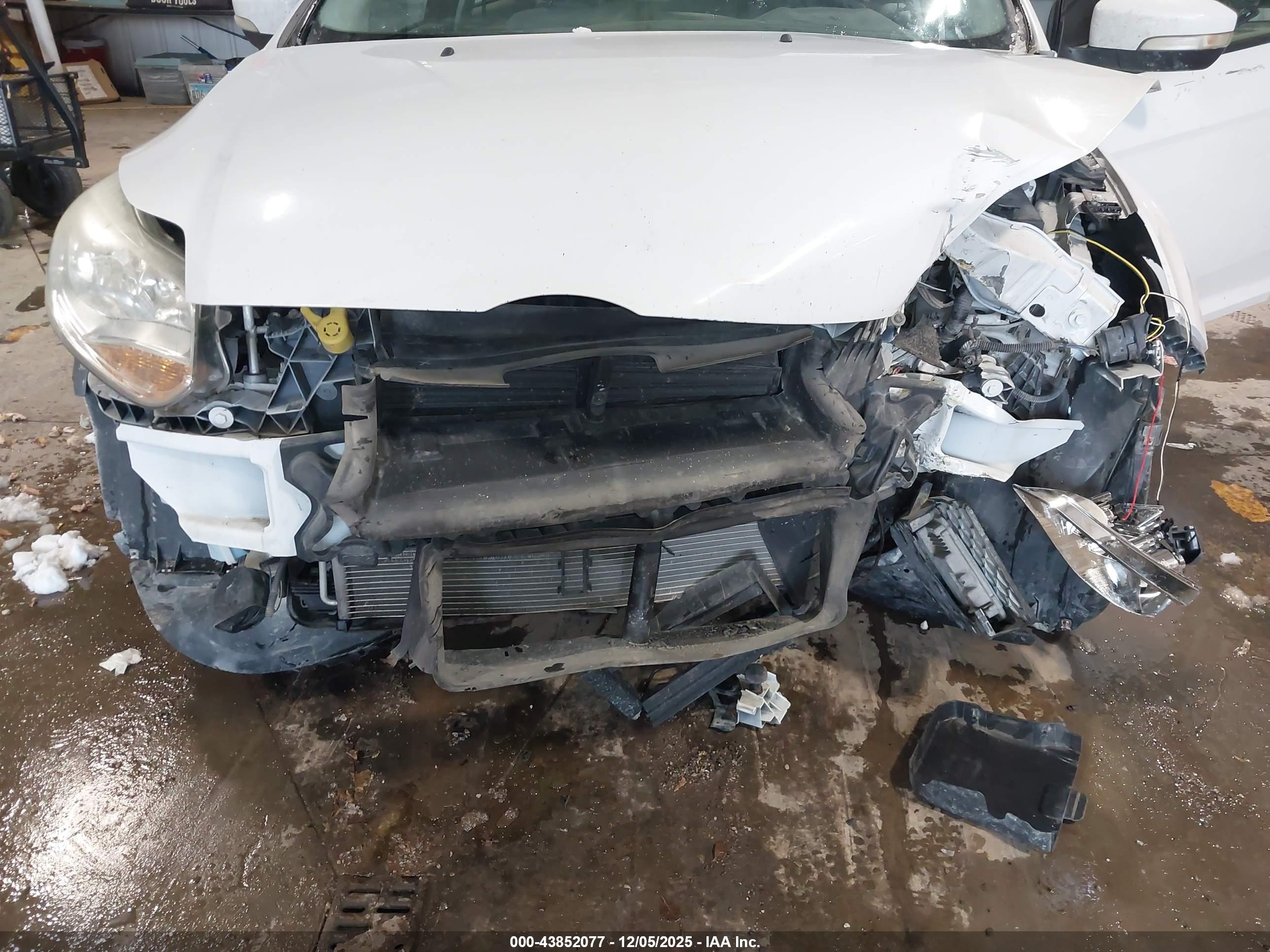 FORD FOCUS image 6
