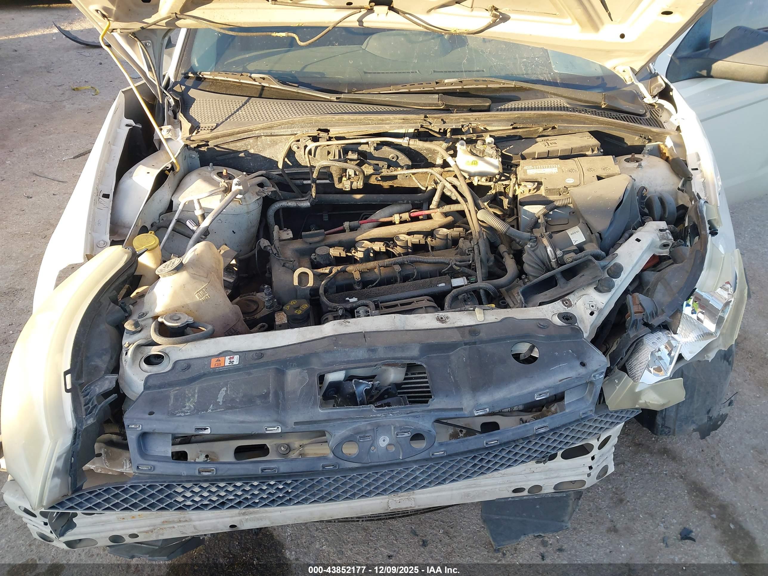 FORD FOCUS image 10