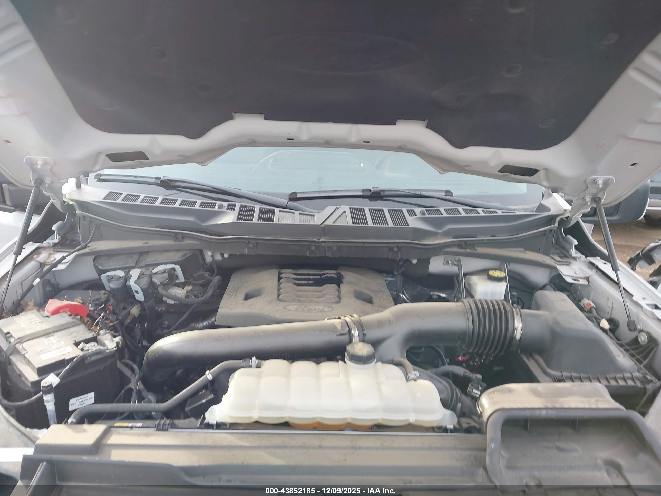 FORD F-150 image 10