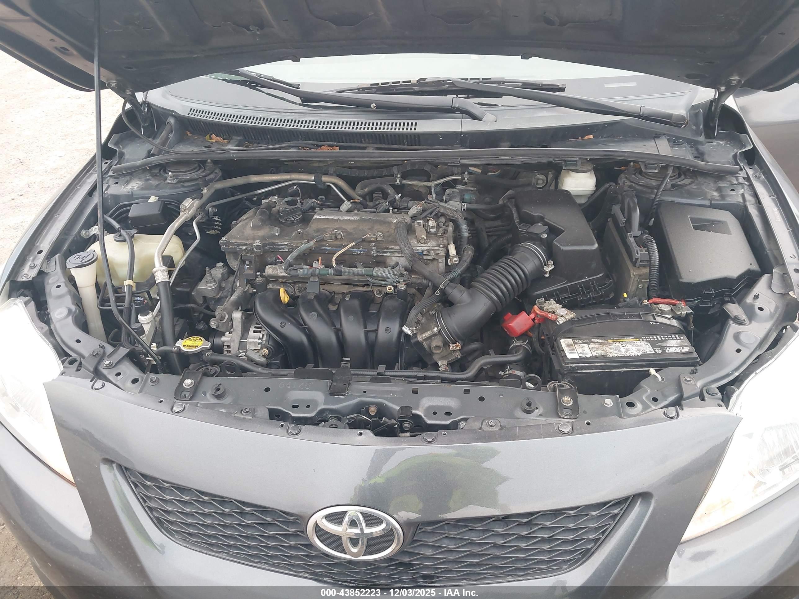 TOYOTA COROLLA image 10