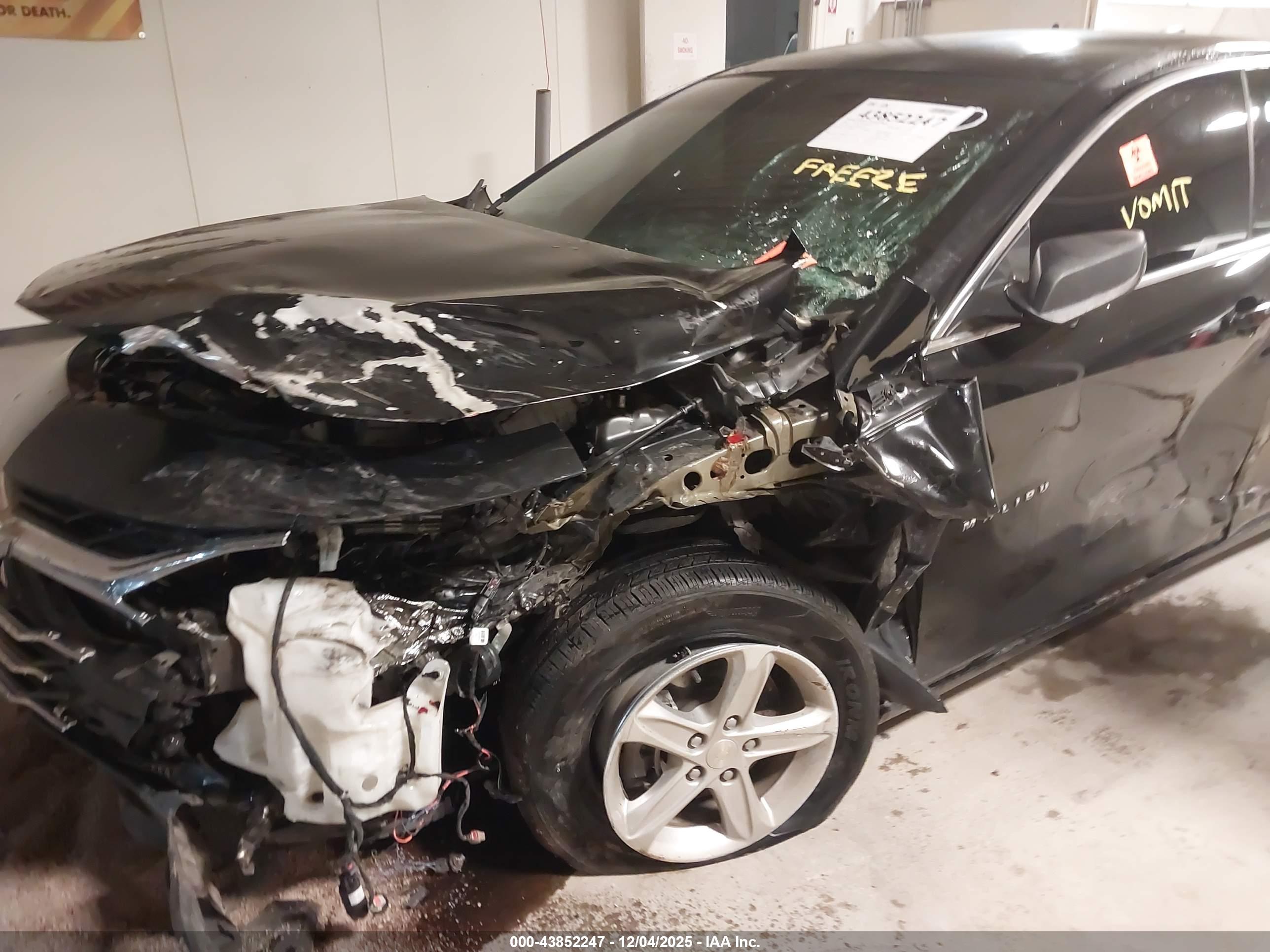 CHEVROLET MALIBU image 6