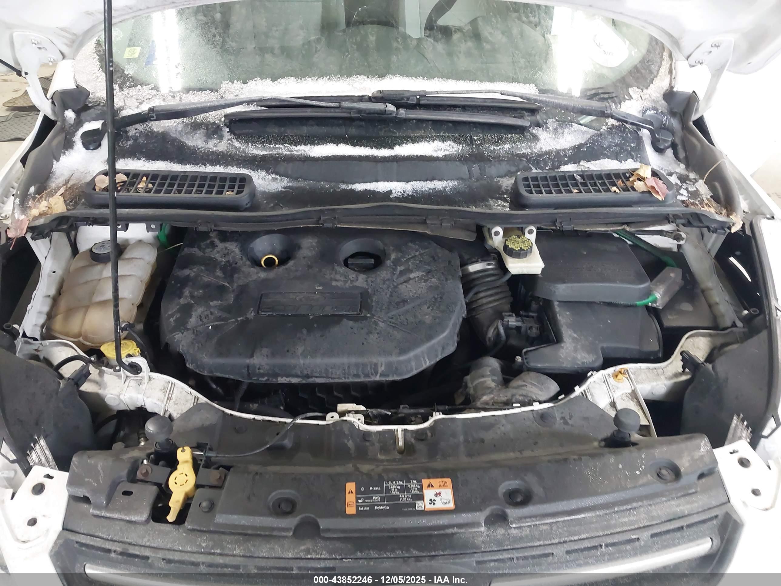 FORD ESCAPE image 10