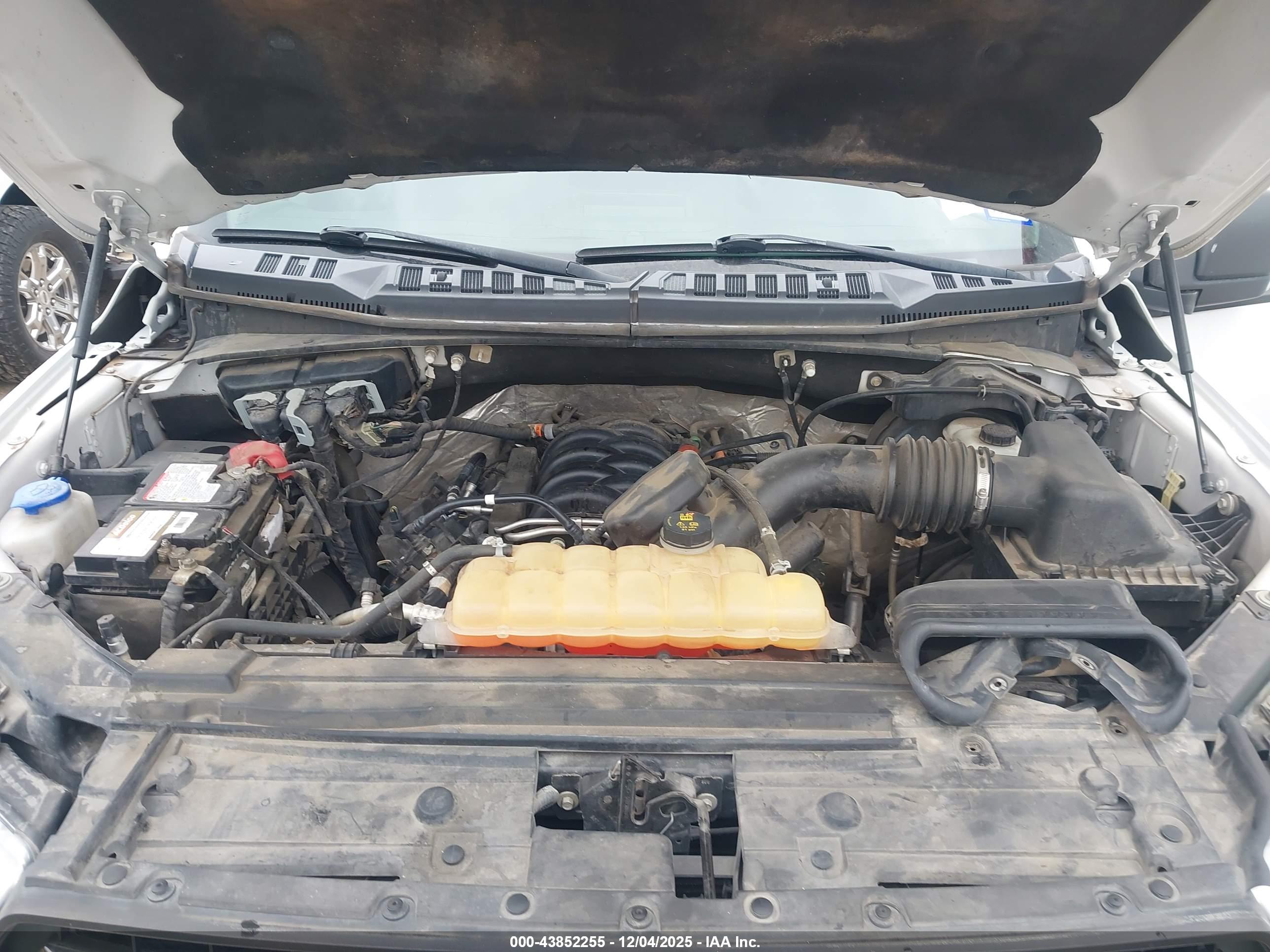 FORD F-150 image 10