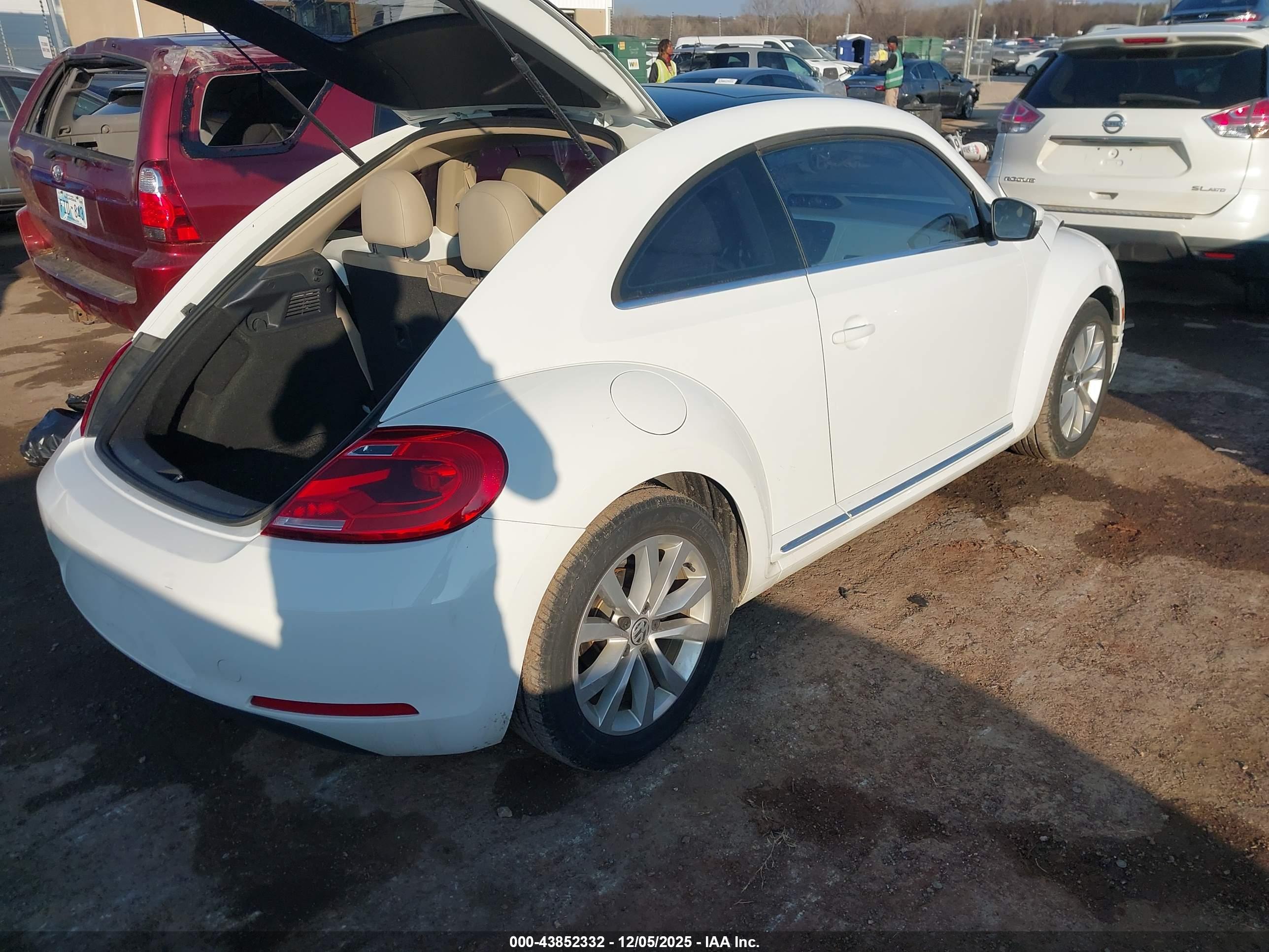 VOLKSWAGEN BEETLE image 4