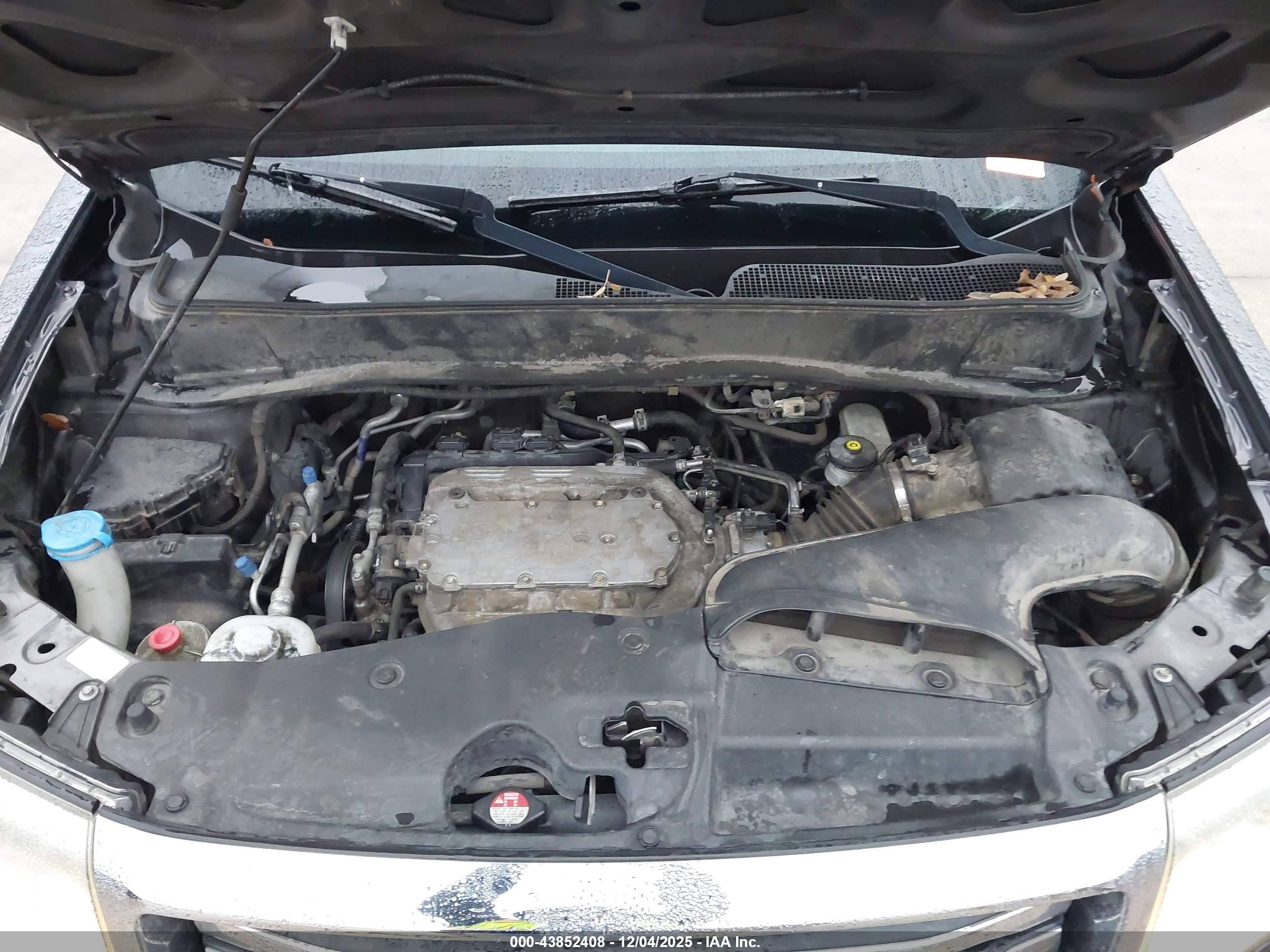 HONDA PILOT image 10