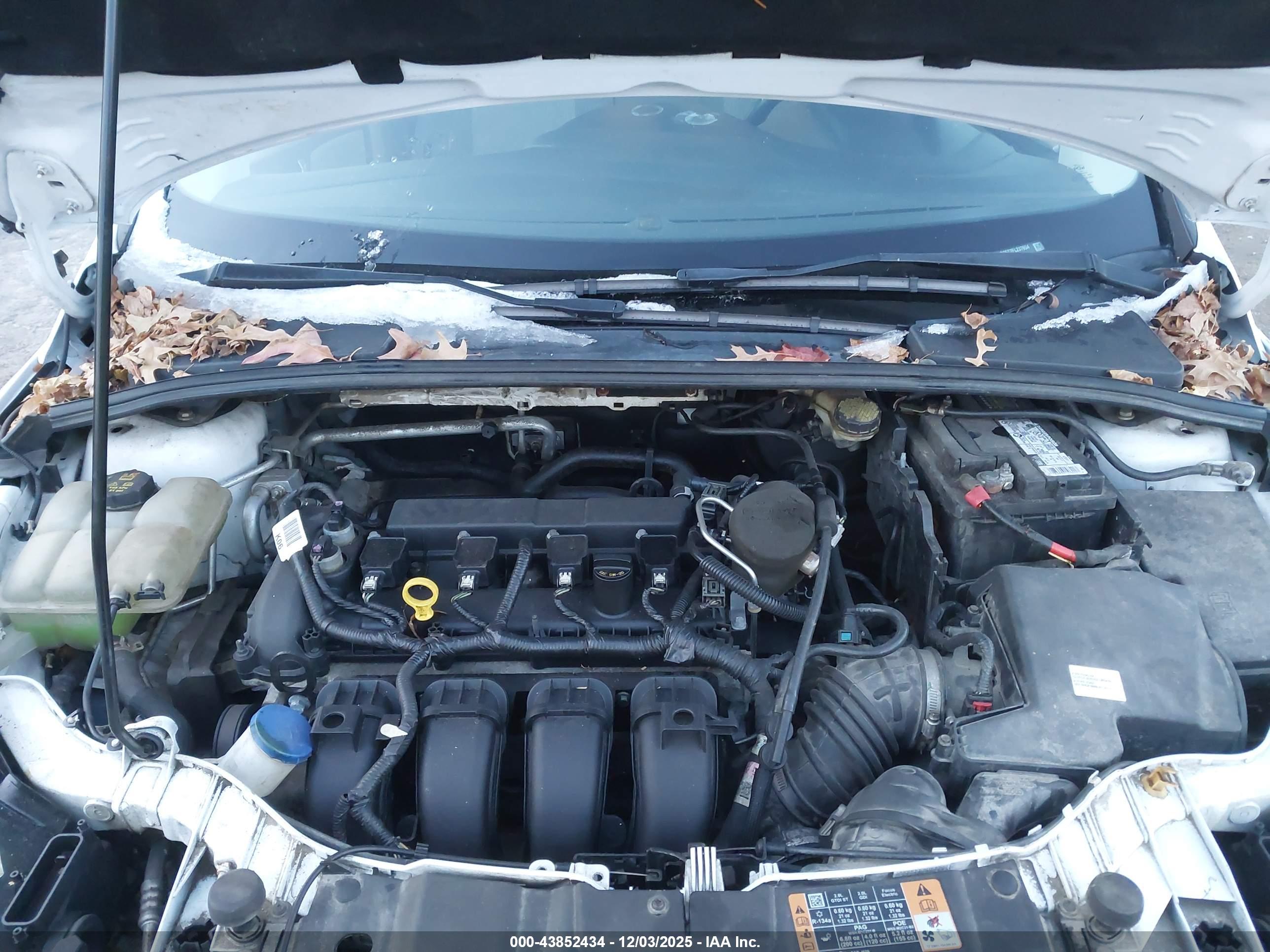 FORD FOCUS image 10
