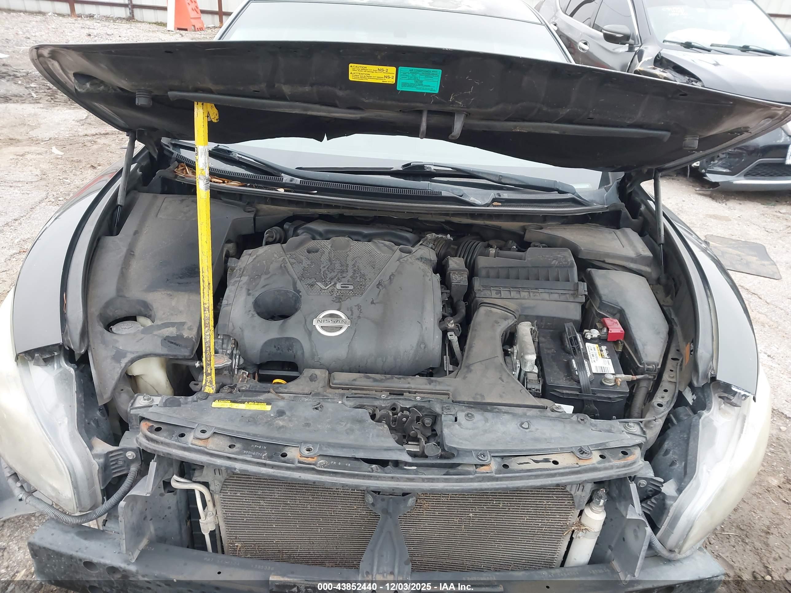 NISSAN MAXIMA image 10