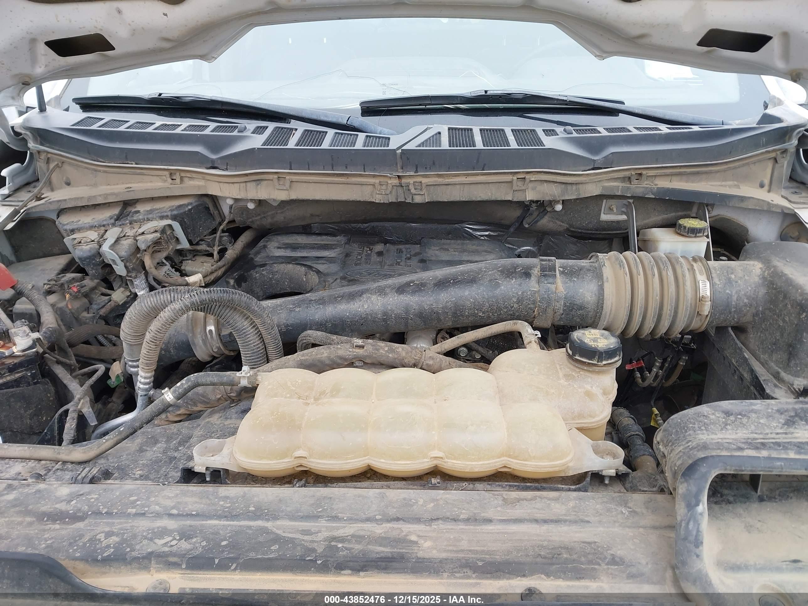 FORD F-150 image 10