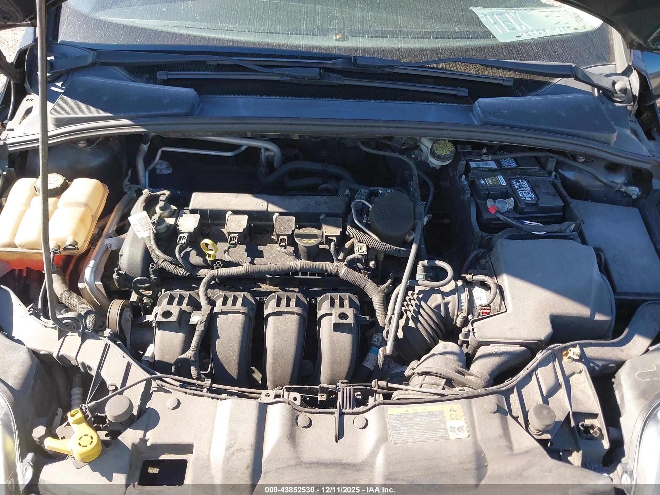 FORD FOCUS image 10