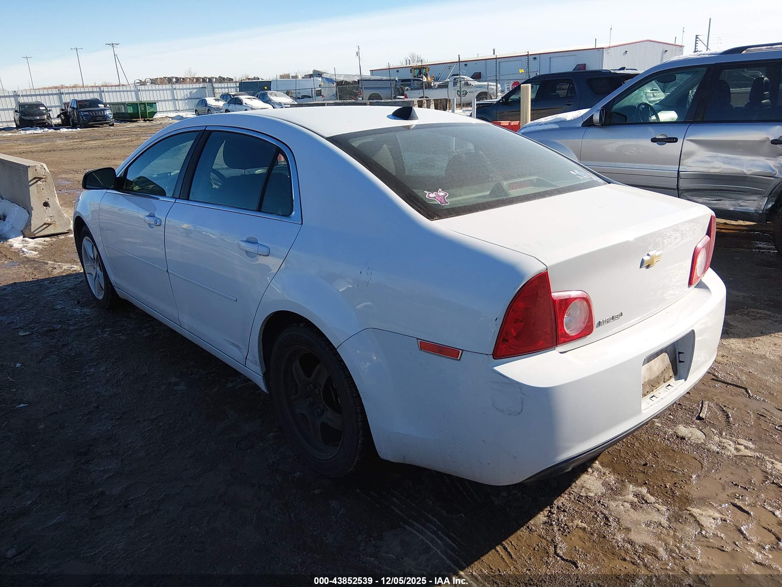 CHEVROLET MALIBU image 3
