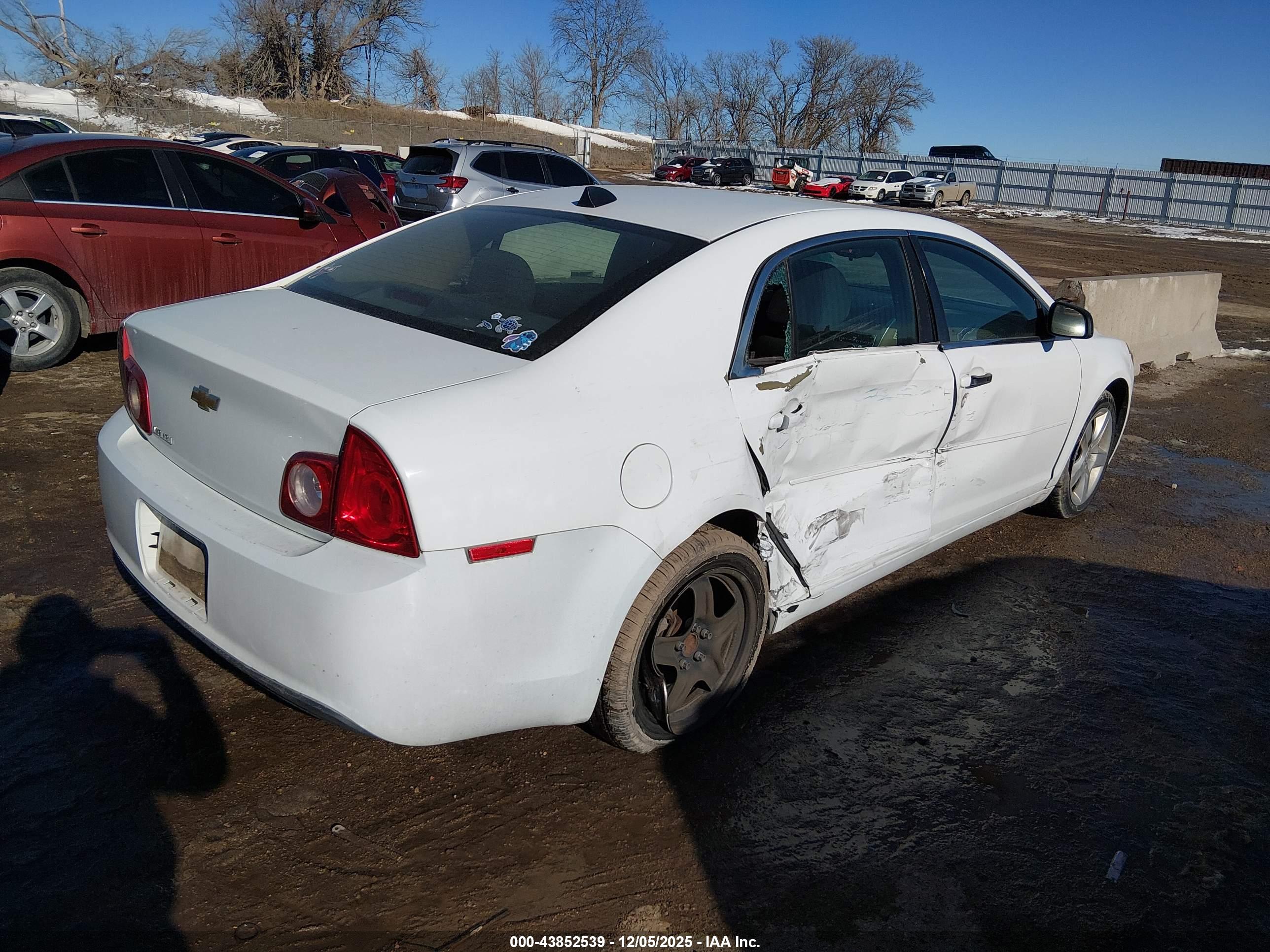 CHEVROLET MALIBU image 4