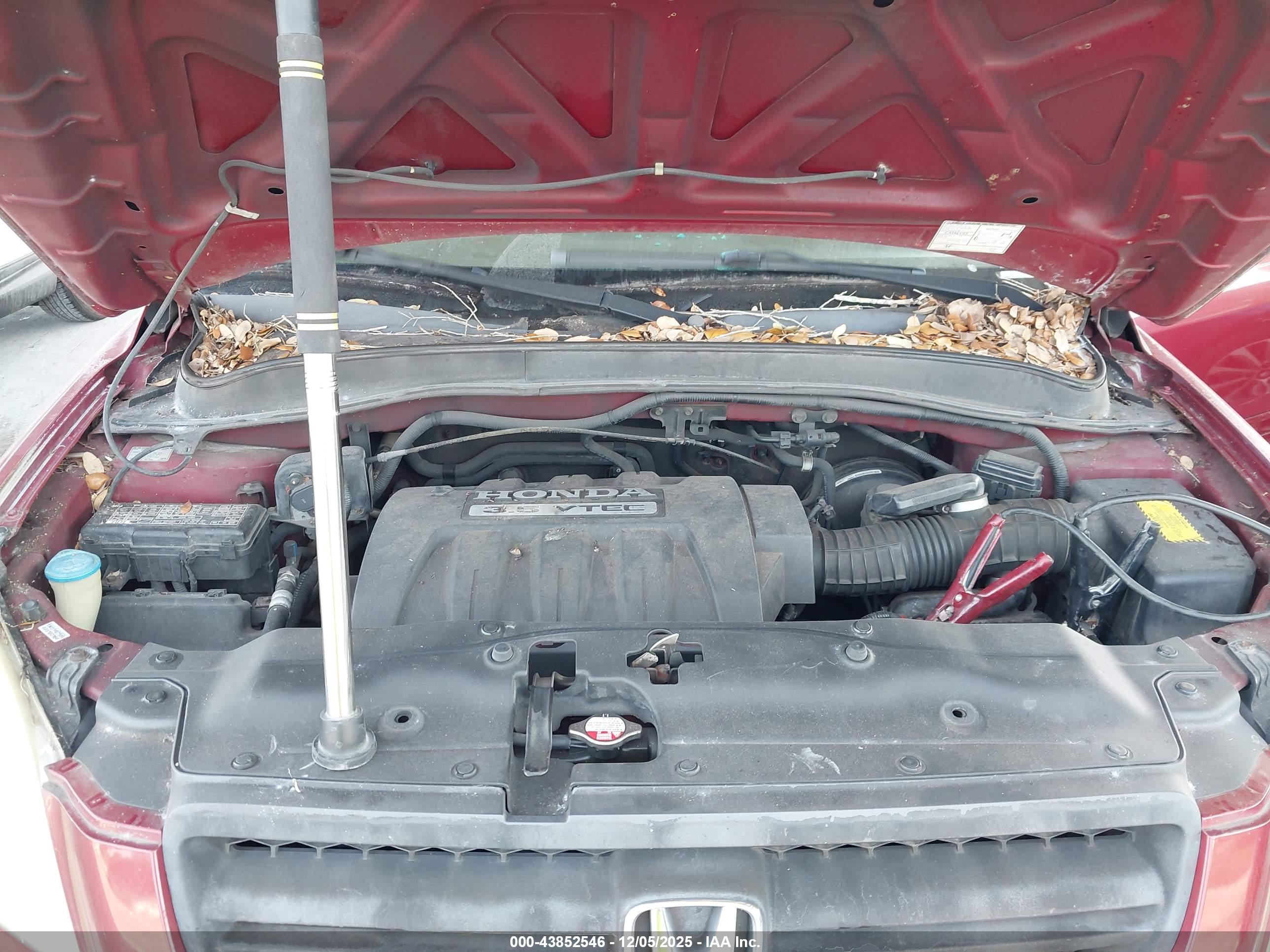 HONDA PILOT image 10