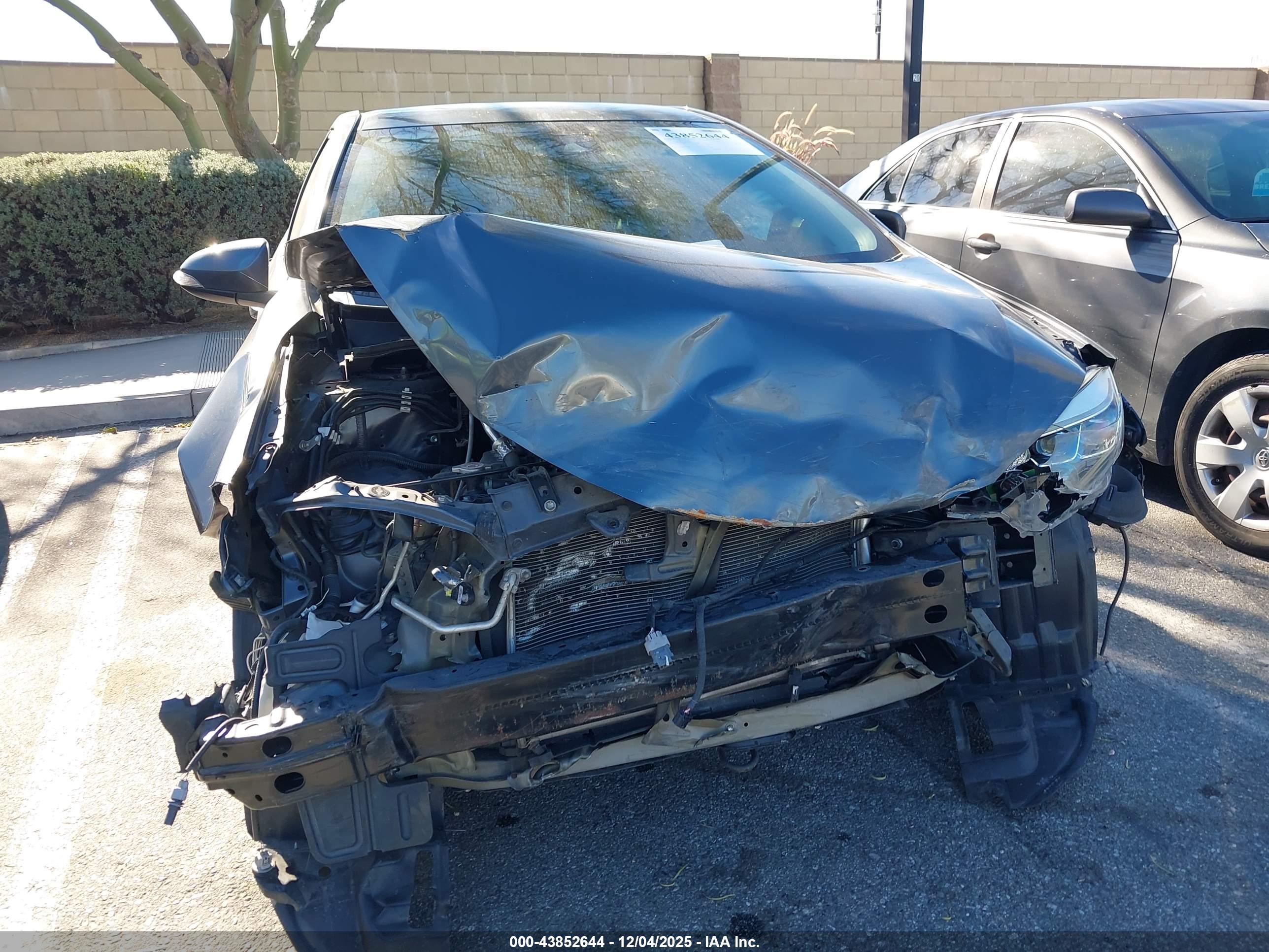 TOYOTA COROLLA image 6
