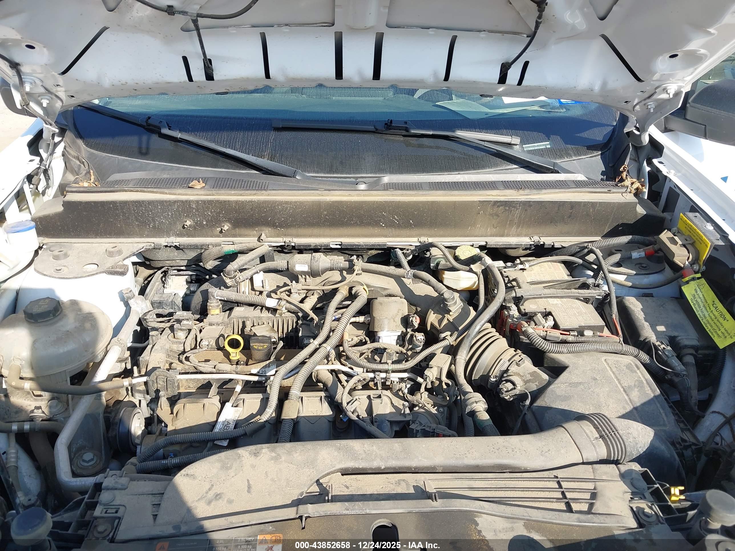 FORD MAVERICK image 10