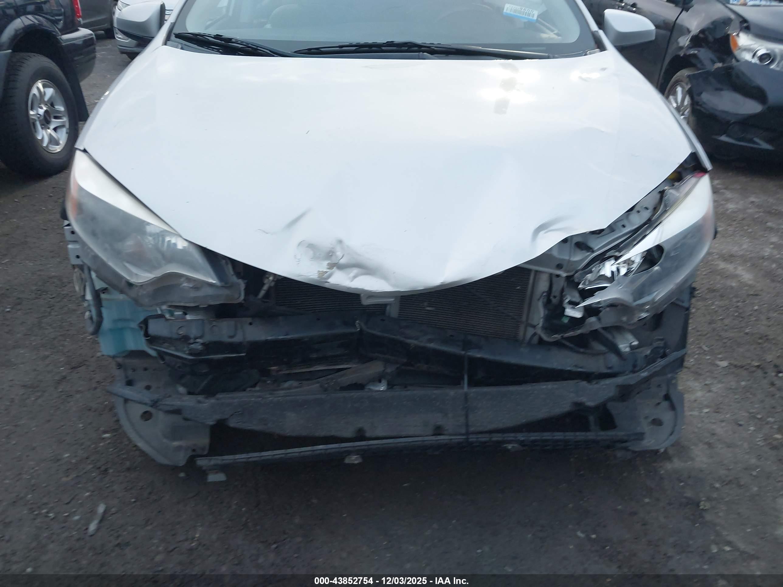 TOYOTA COROLLA image 6
