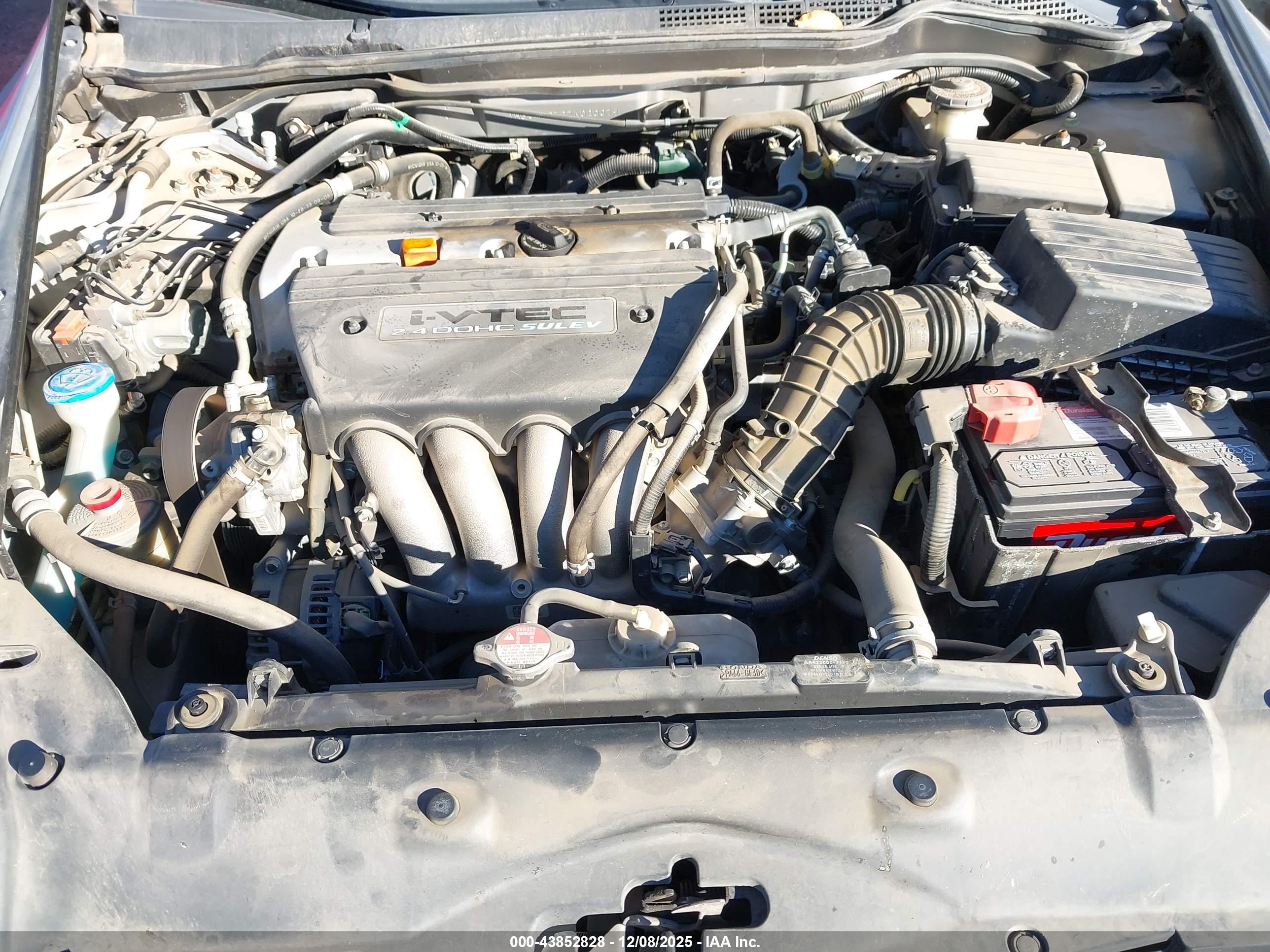 HONDA ACCORD image 10