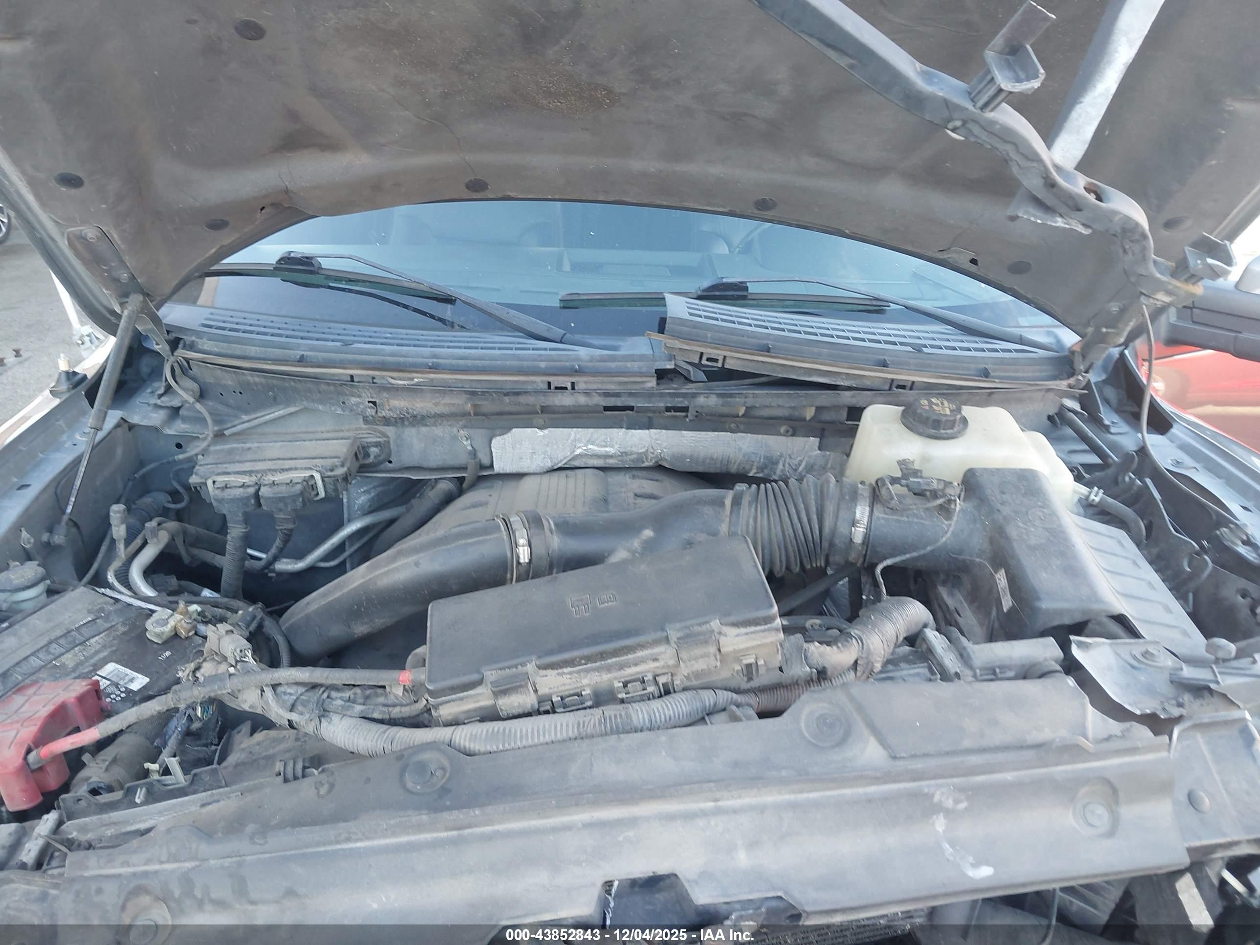 FORD F-150 image 10
