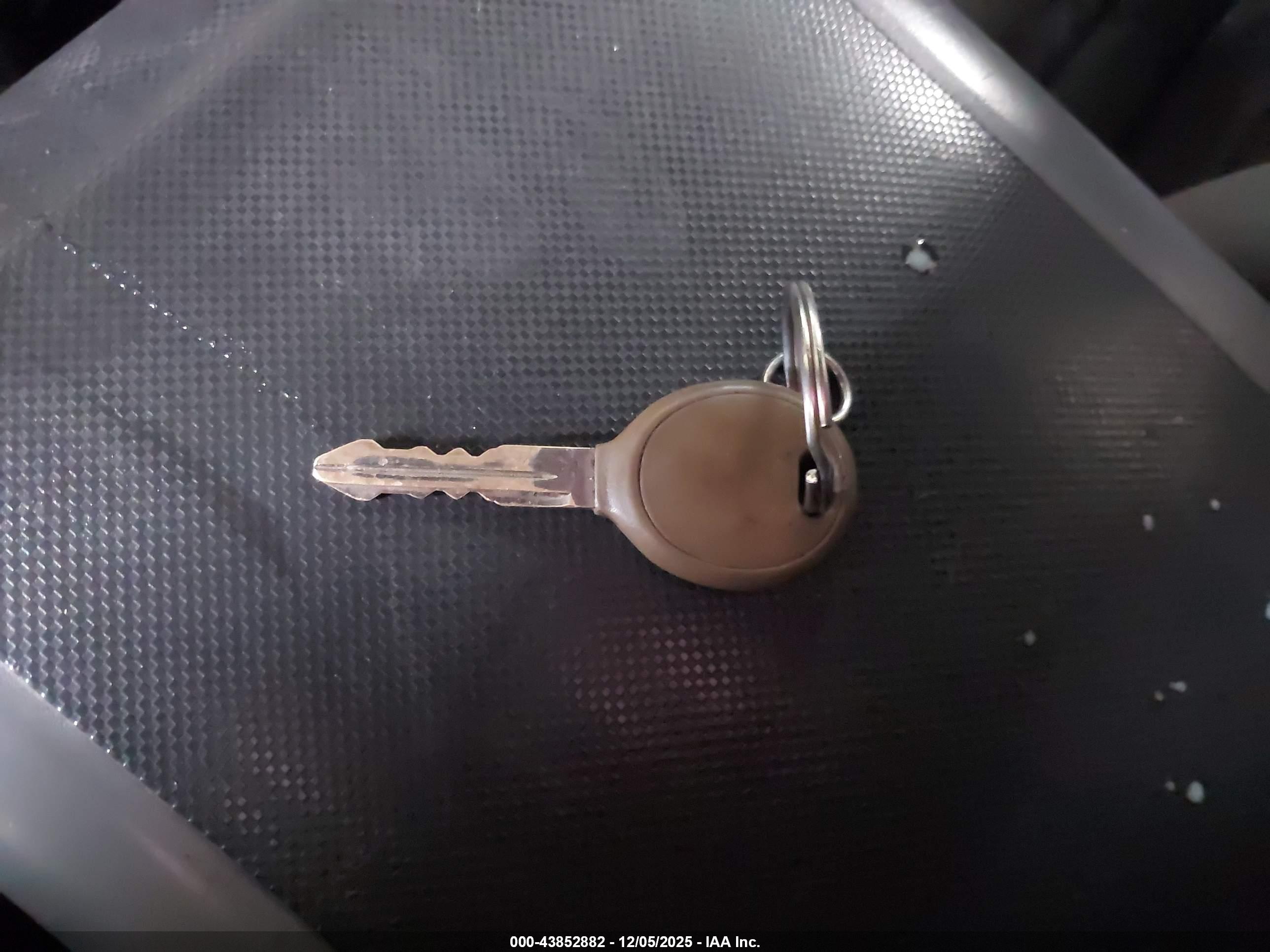 JEEP WRANGLER image 11