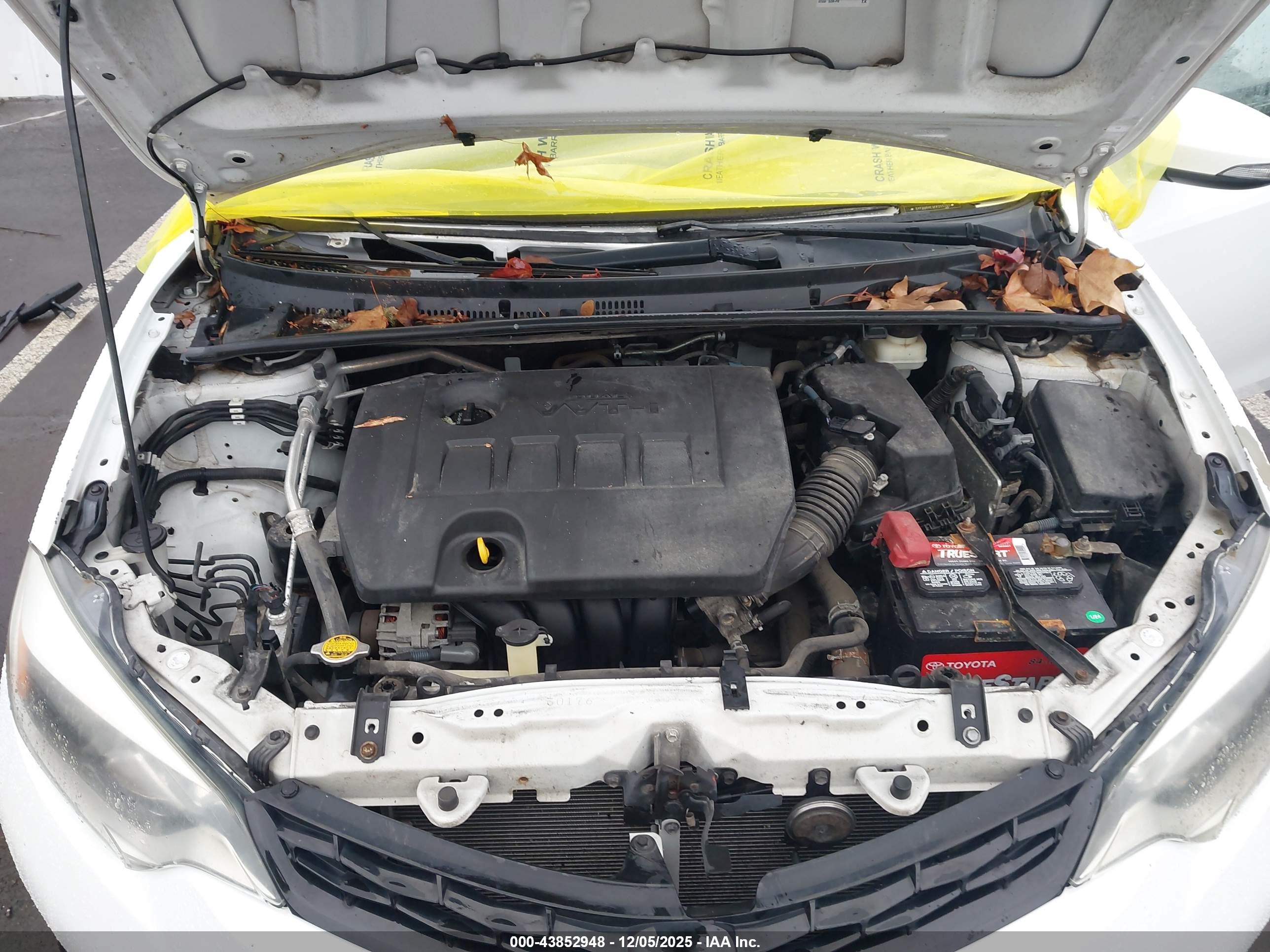 TOYOTA COROLLA image 10