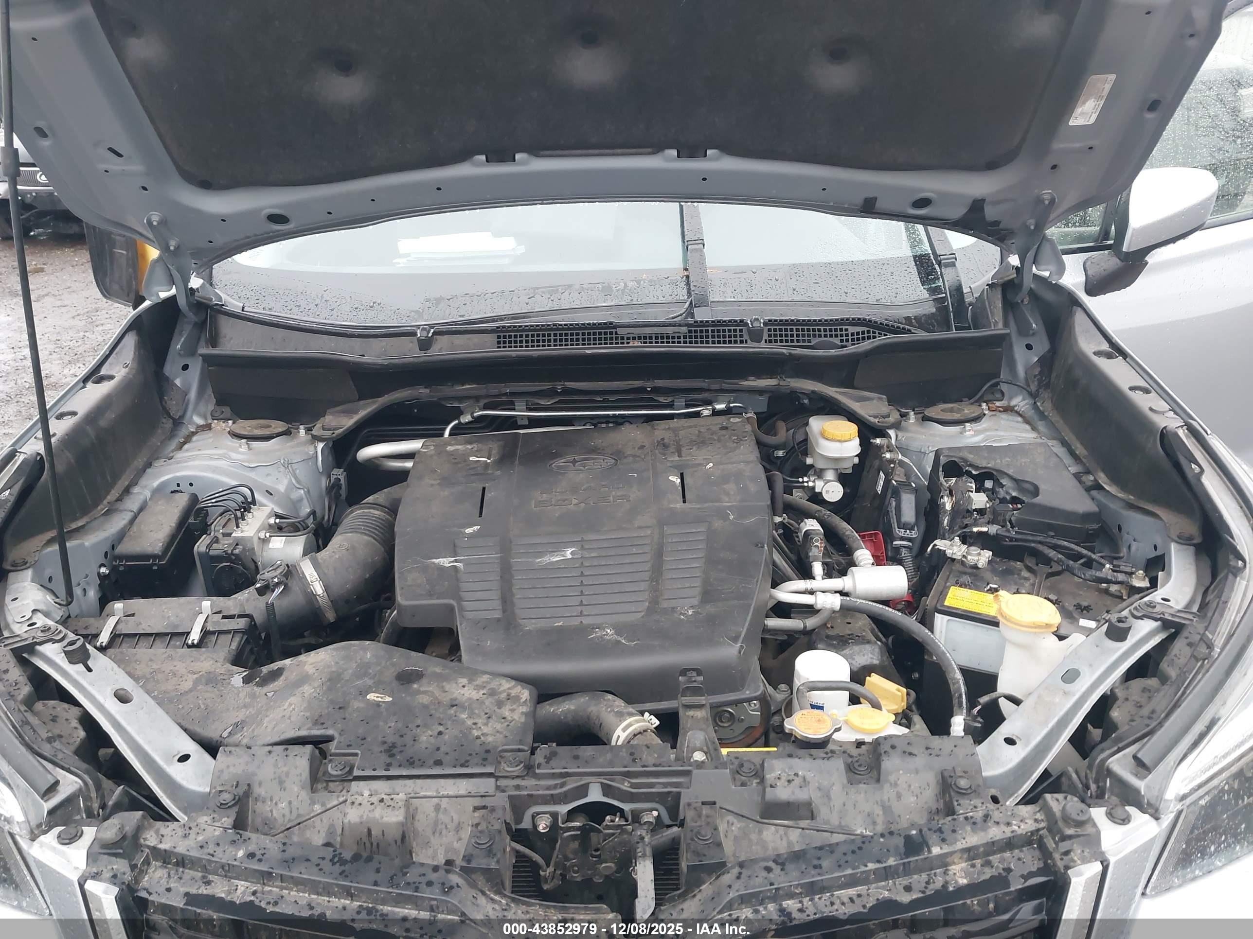 SUBARU FORESTER image 10