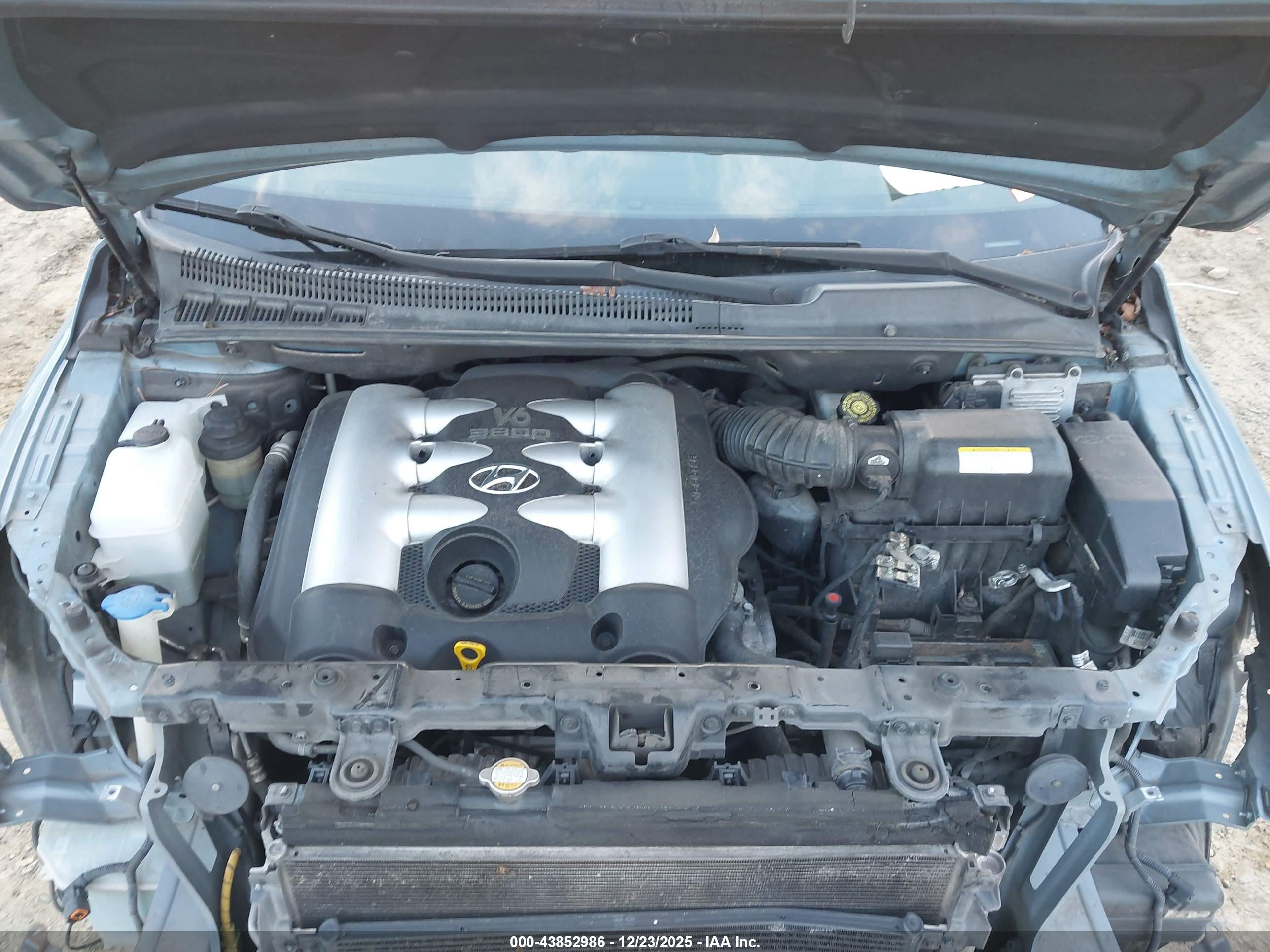 HYUNDAI ENTOURAGE image 10