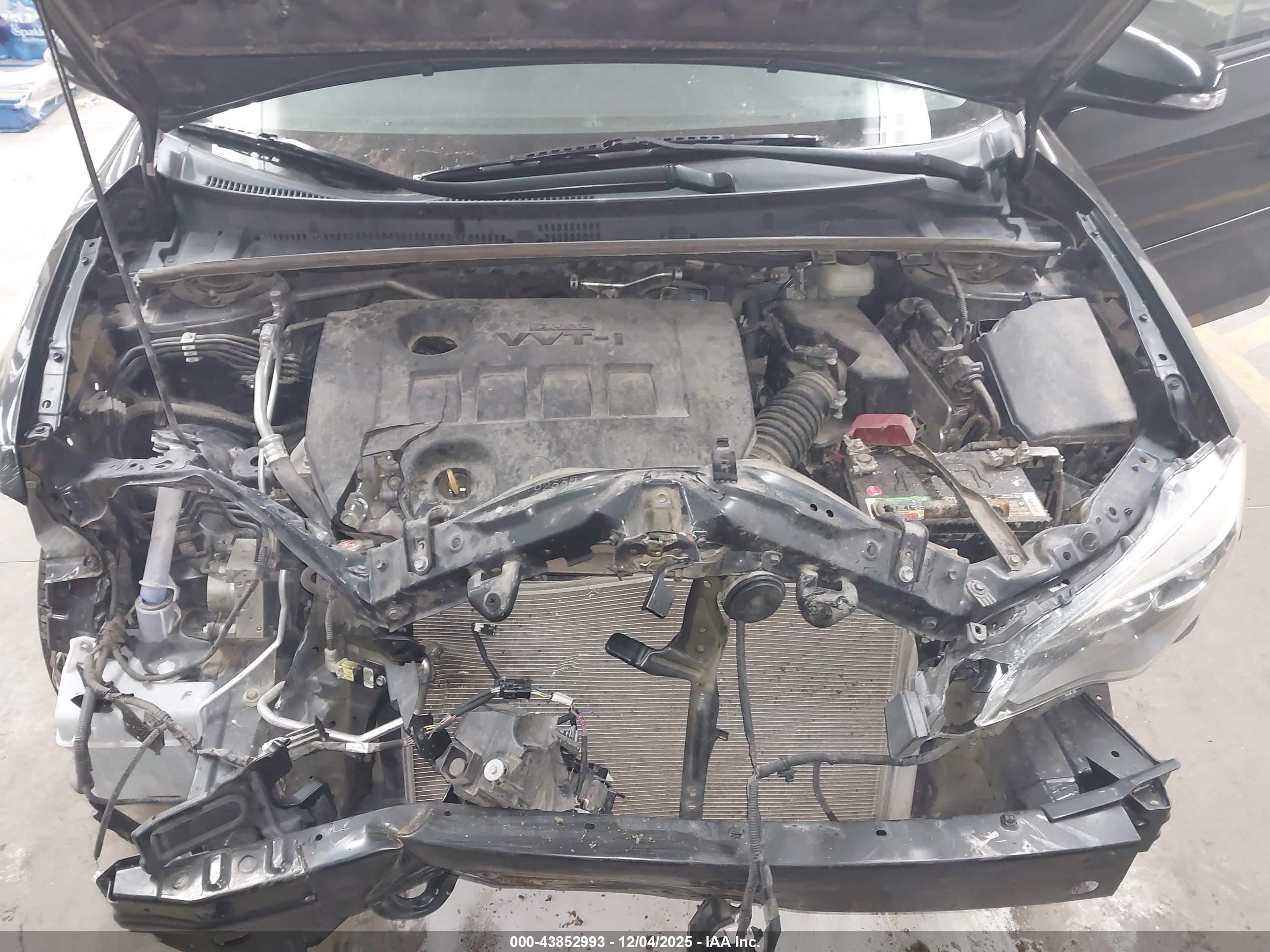 TOYOTA COROLLA image 10