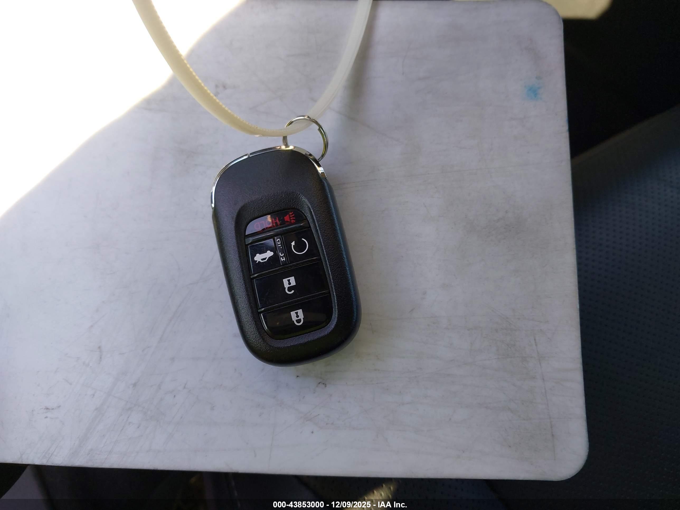 HONDA ACCORD image 11