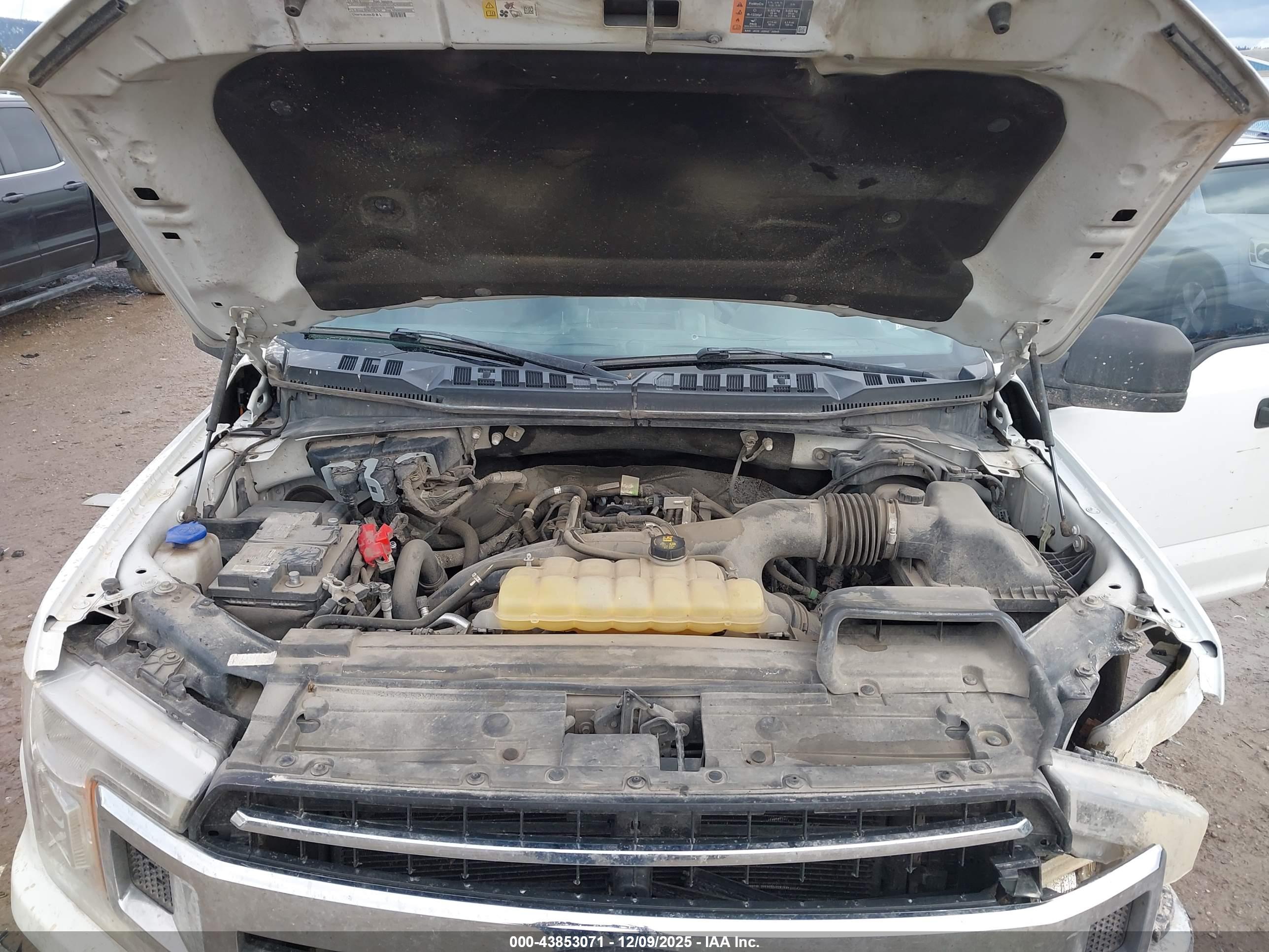 FORD F-150 image 10