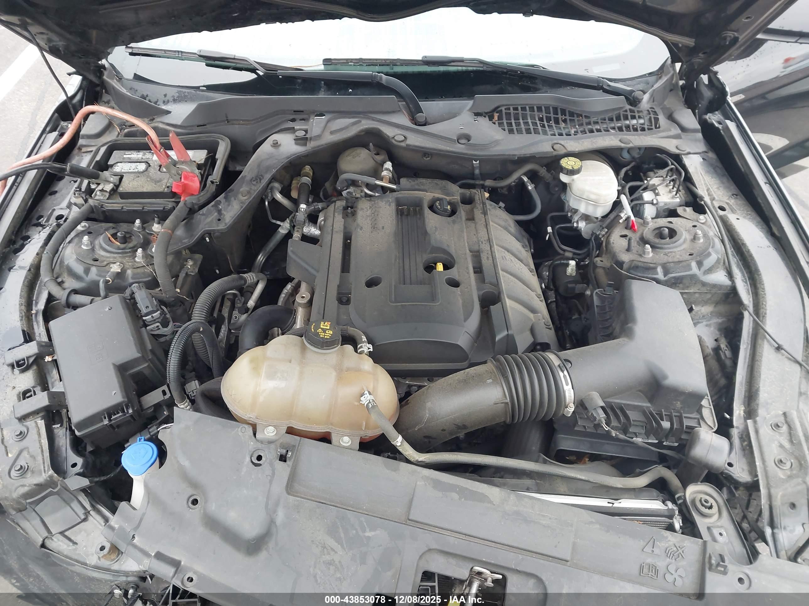 FORD MUSTANG image 10