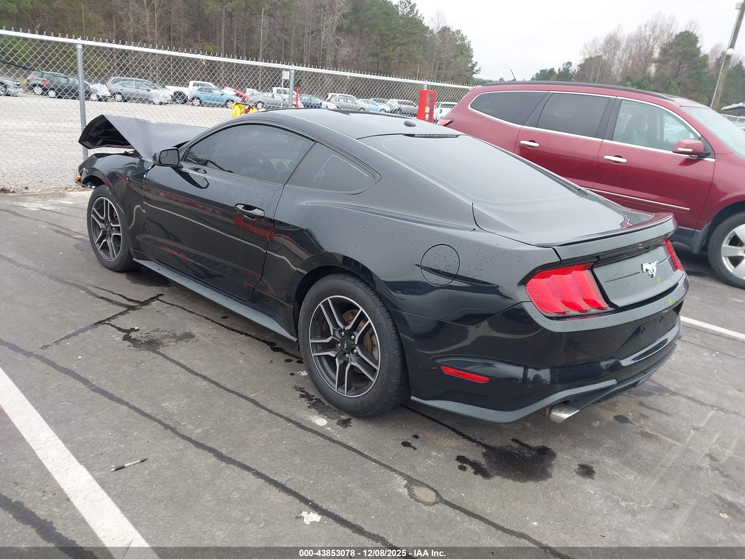 FORD MUSTANG image 3