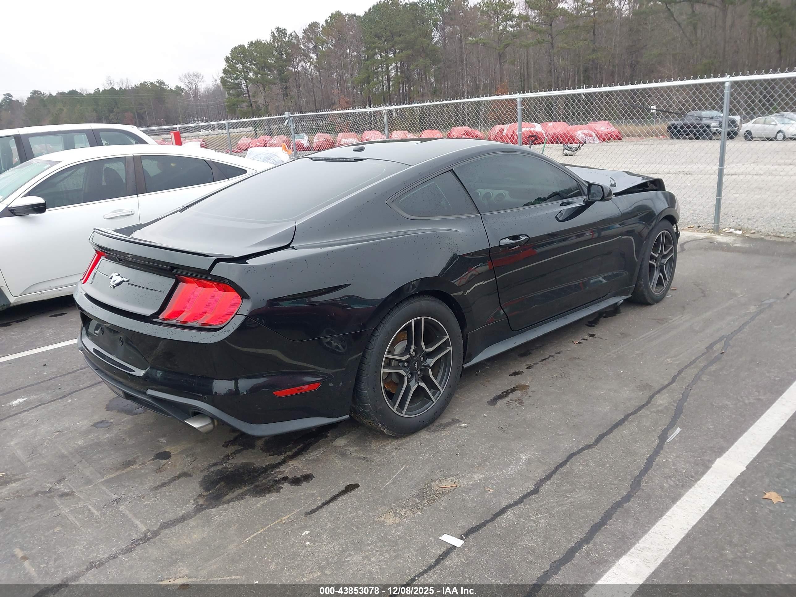 FORD MUSTANG image 4
