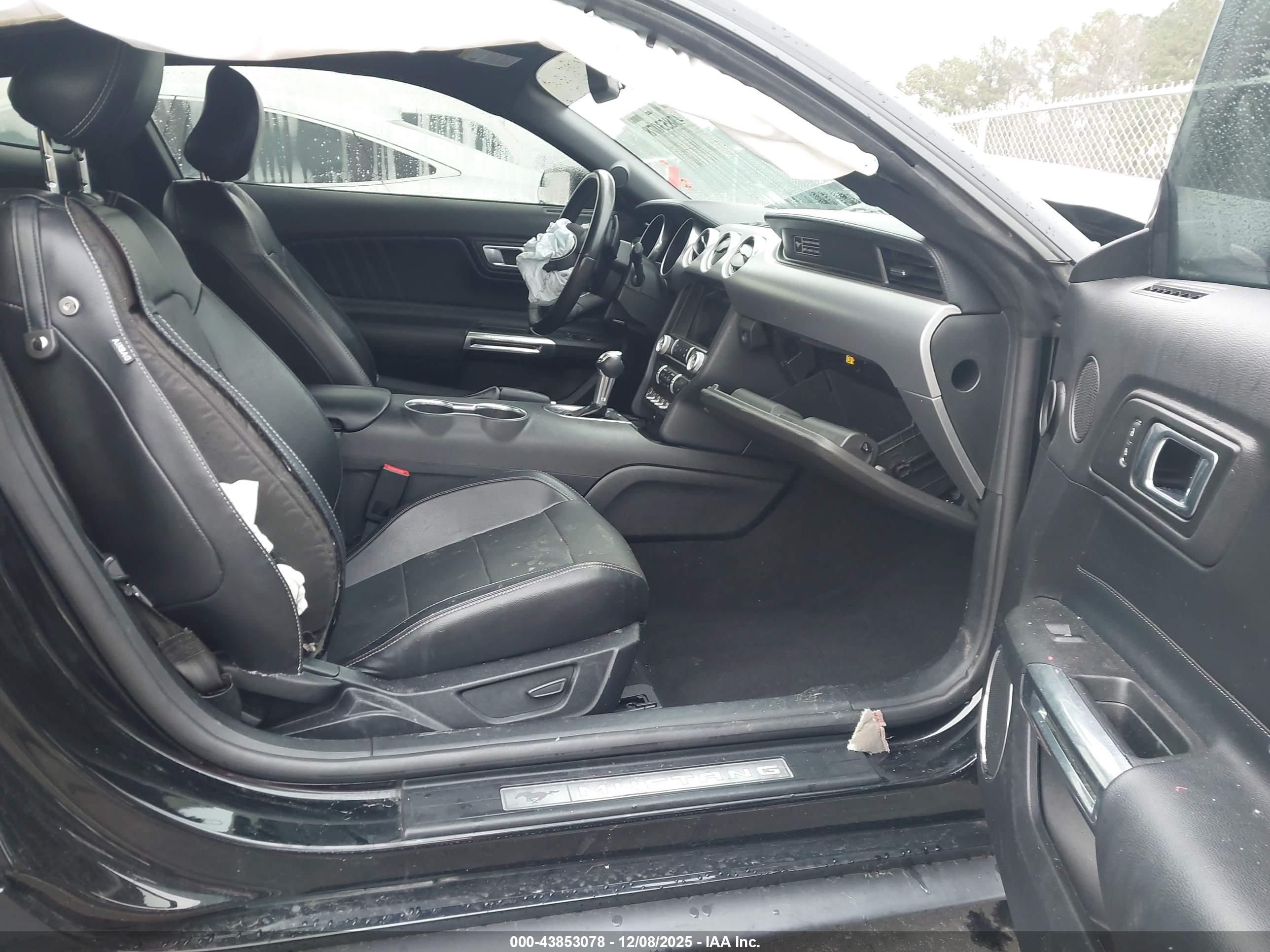 FORD MUSTANG image 5
