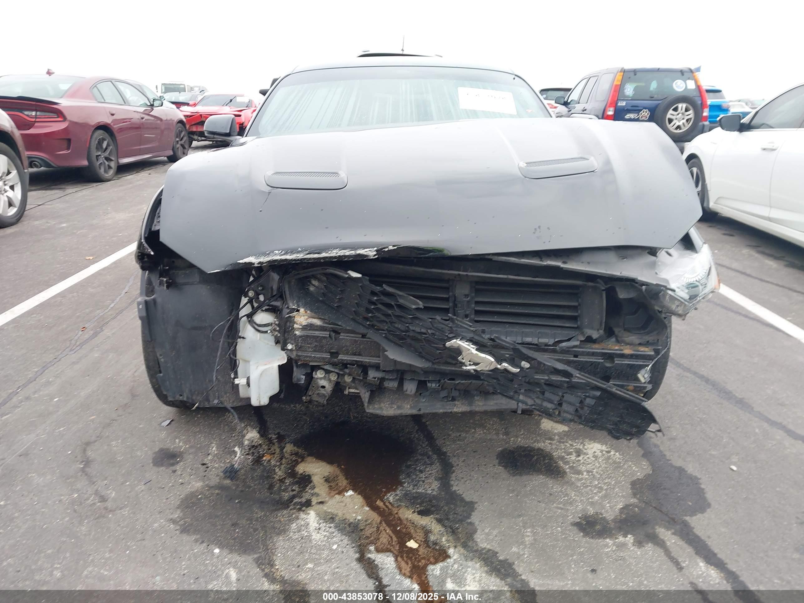FORD MUSTANG image 6
