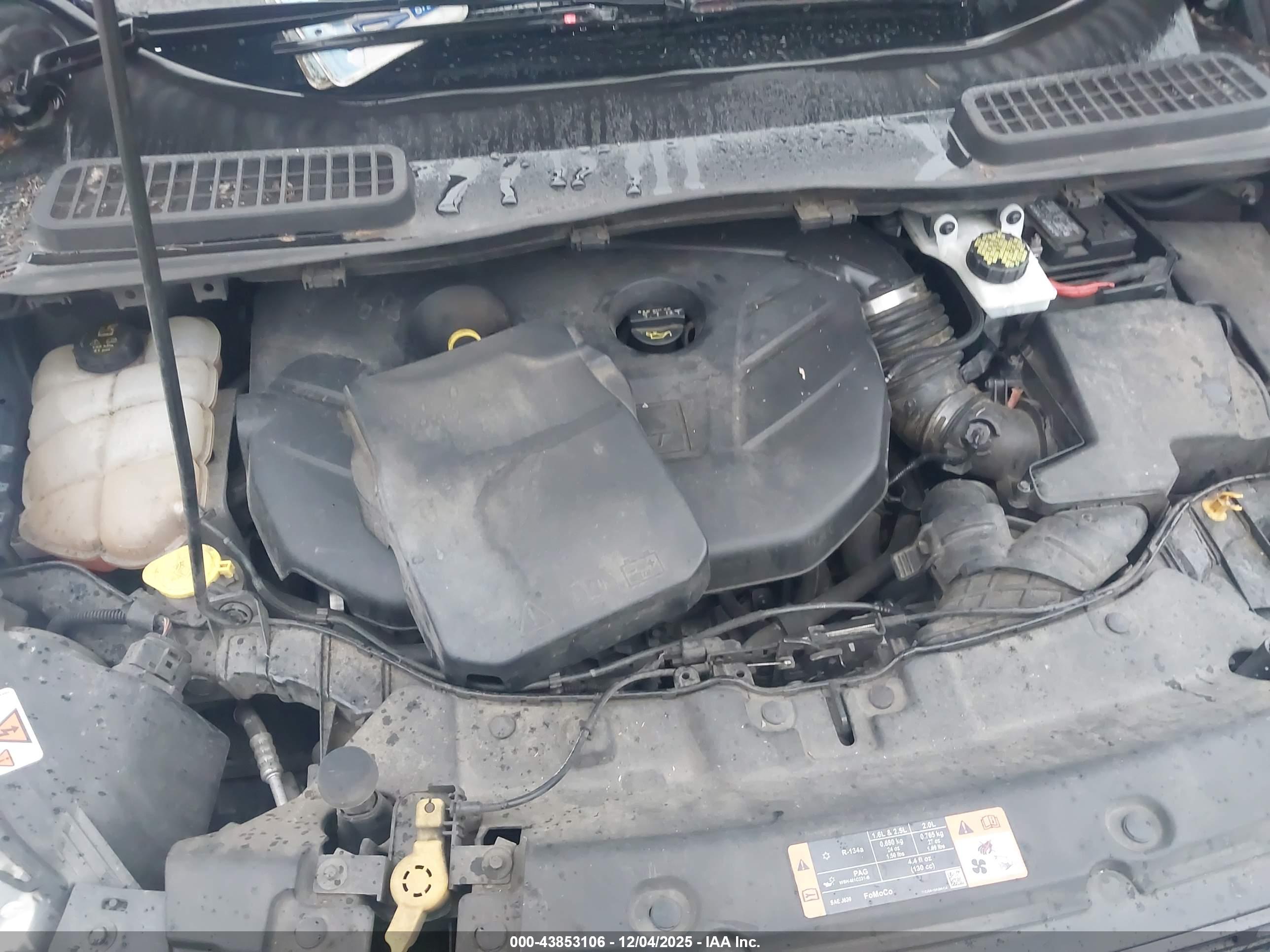 FORD ESCAPE image 10