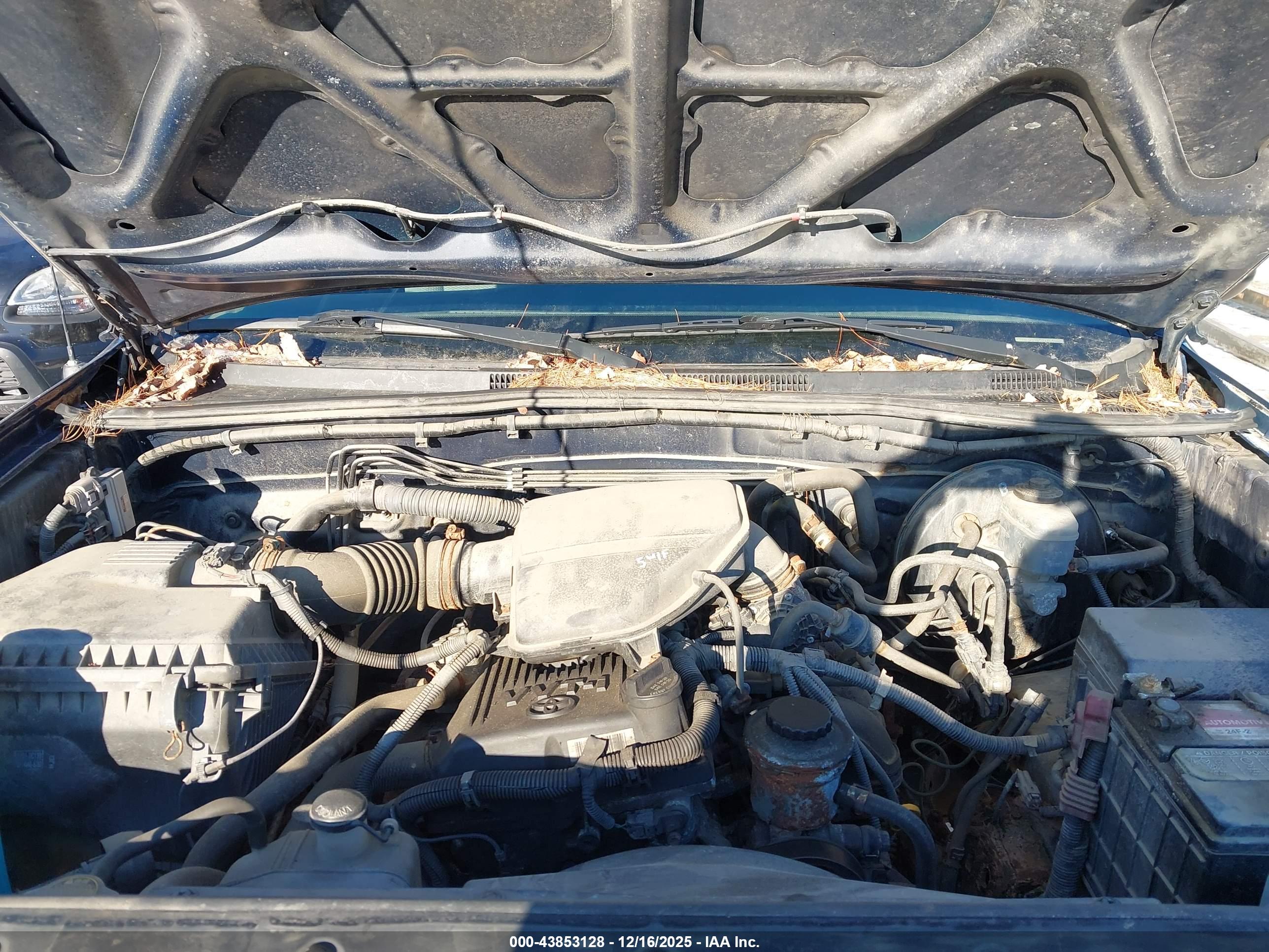 TOYOTA TACOMA image 10
