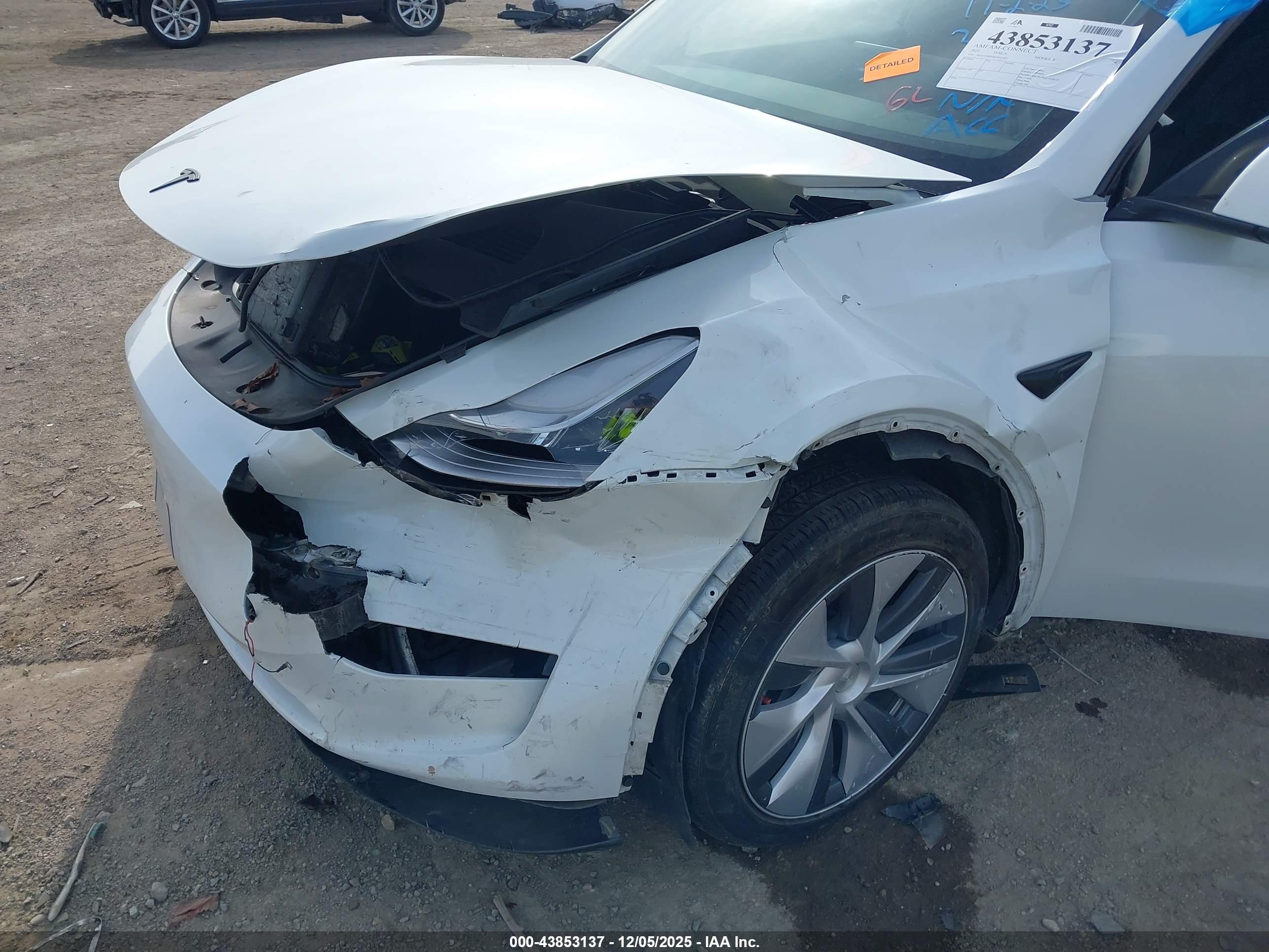 TESLA MODEL image 6