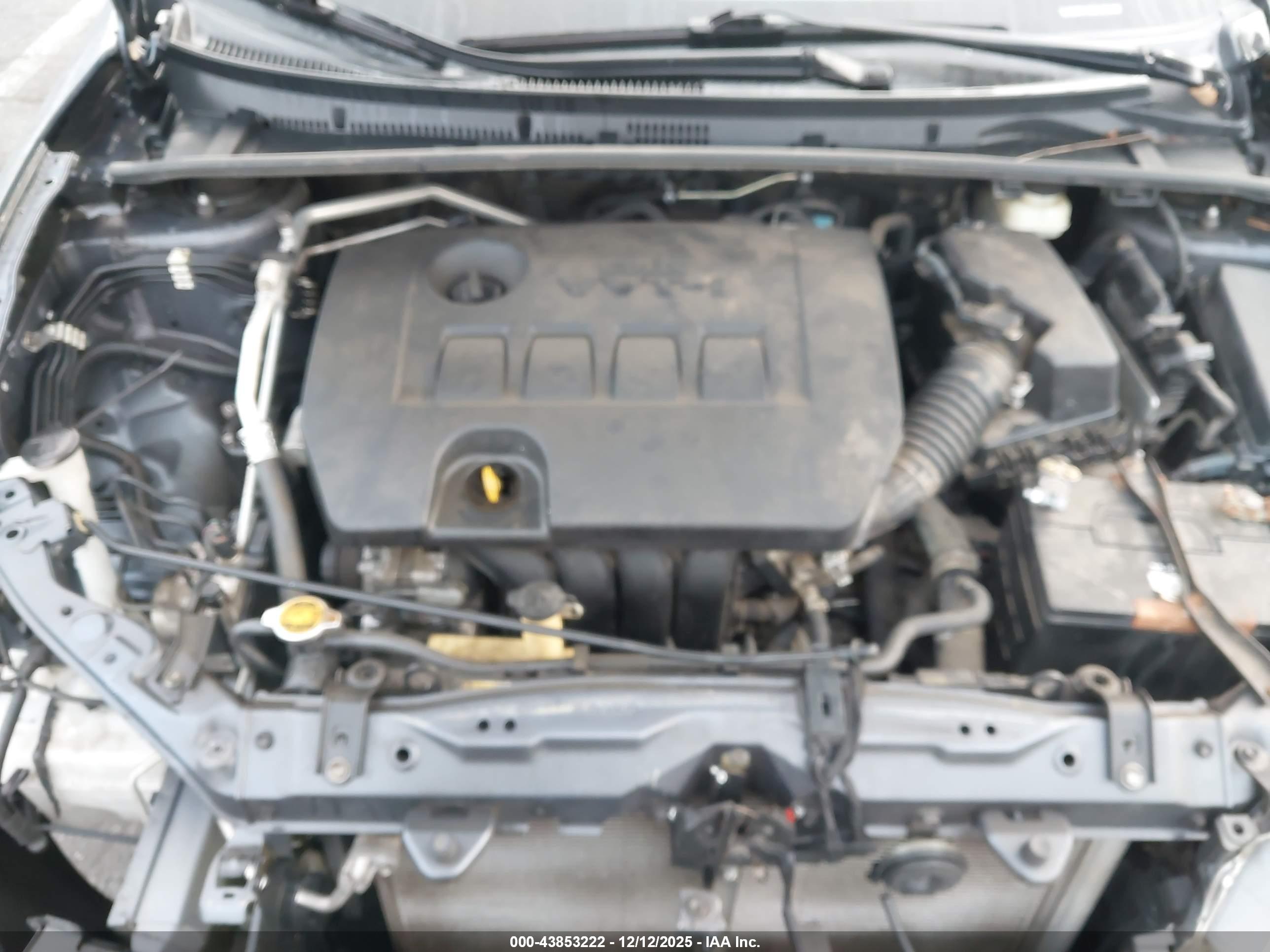 TOYOTA COROLLA image 10