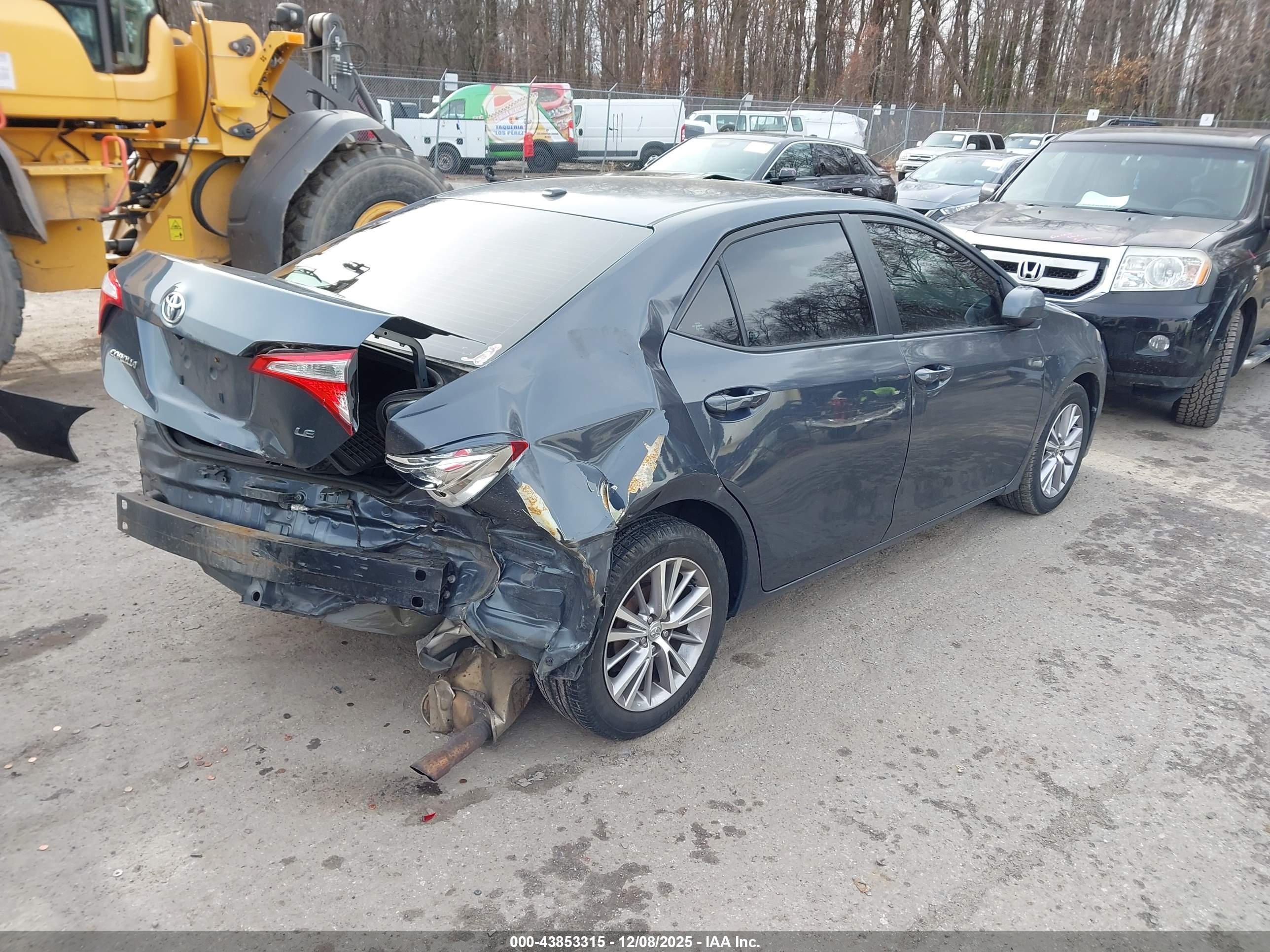 TOYOTA COROLLA image 4