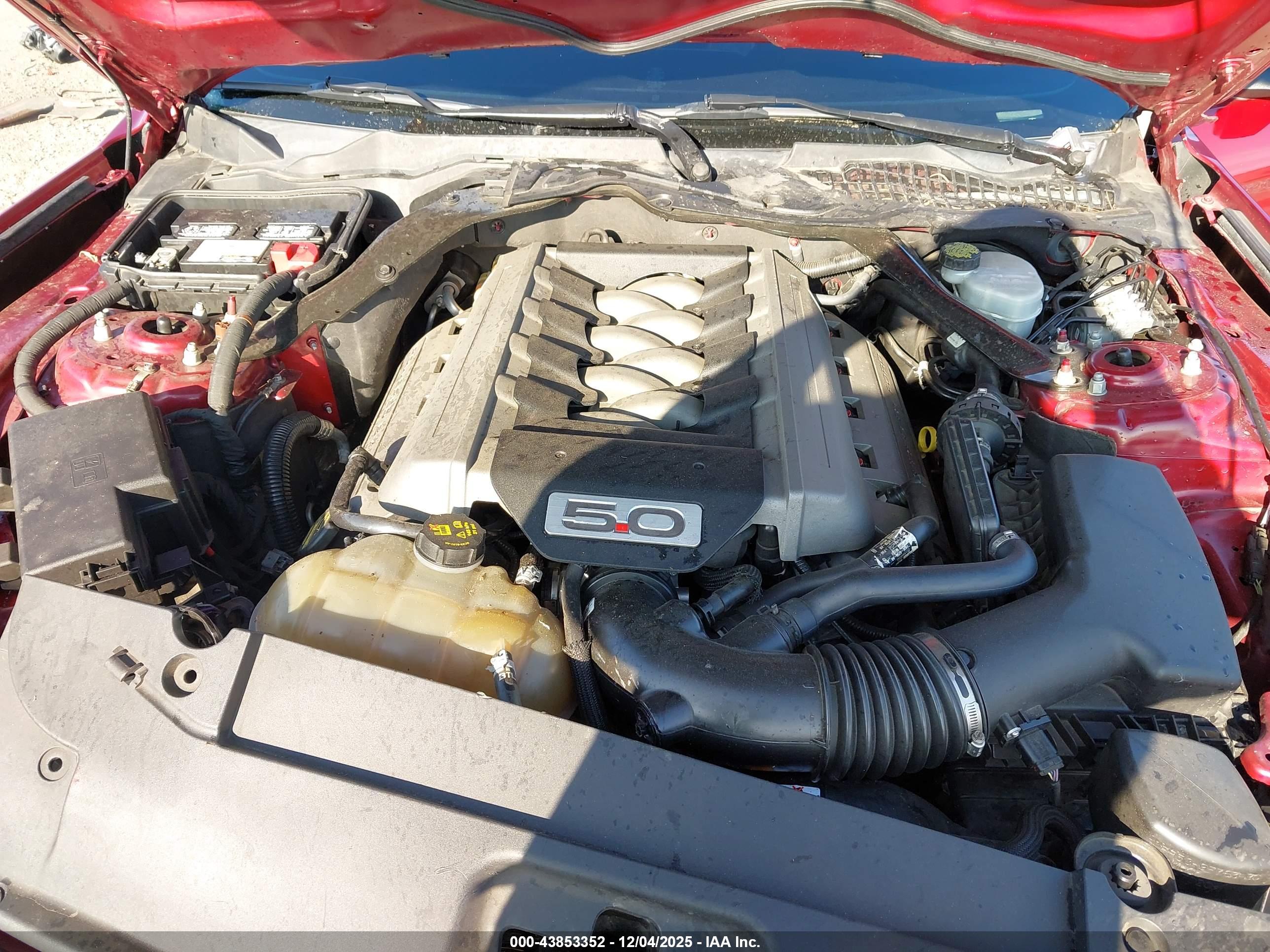 FORD MUSTANG image 10