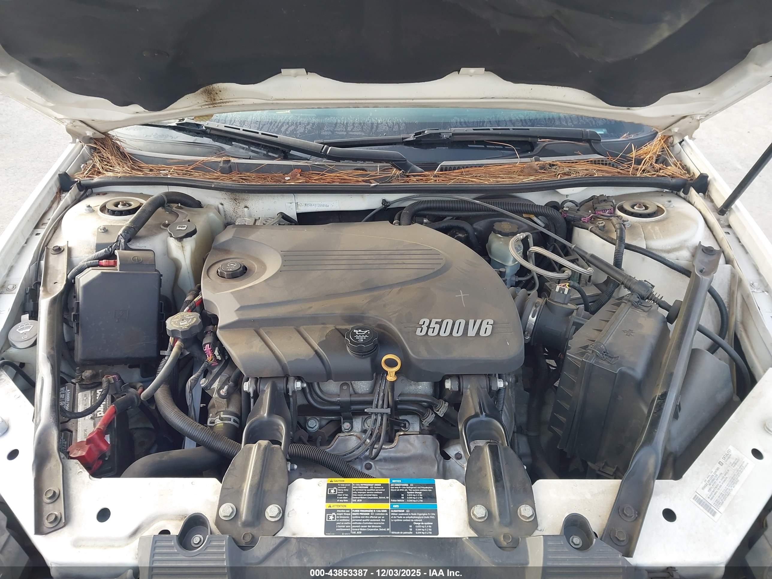 CHEVROLET IMPALA image 10
