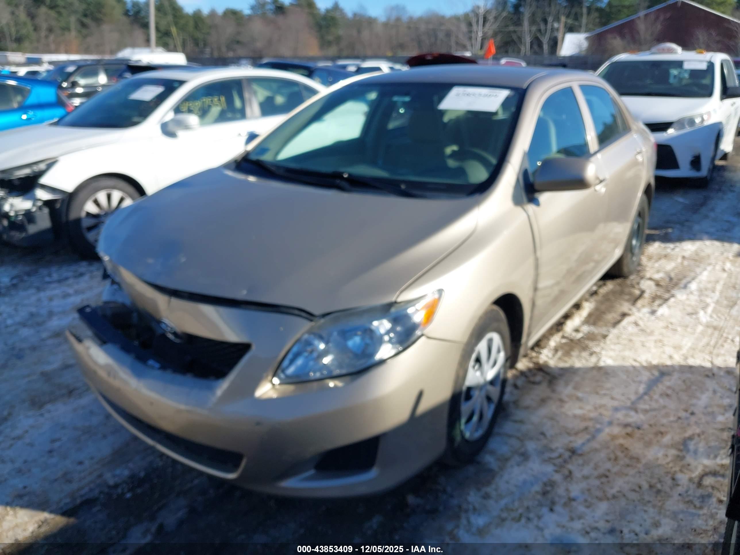 TOYOTA COROLLA image 2