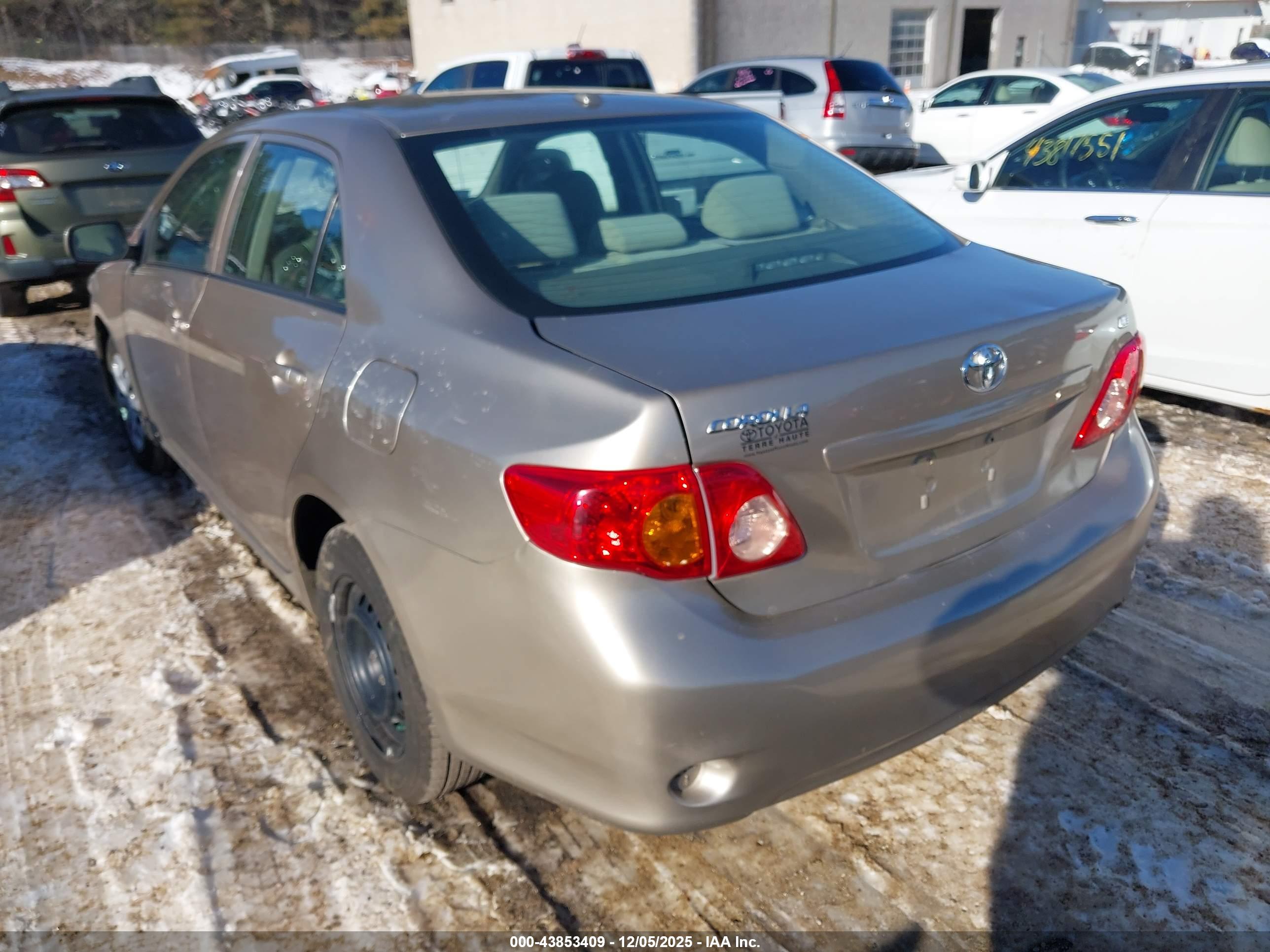 TOYOTA COROLLA image 3