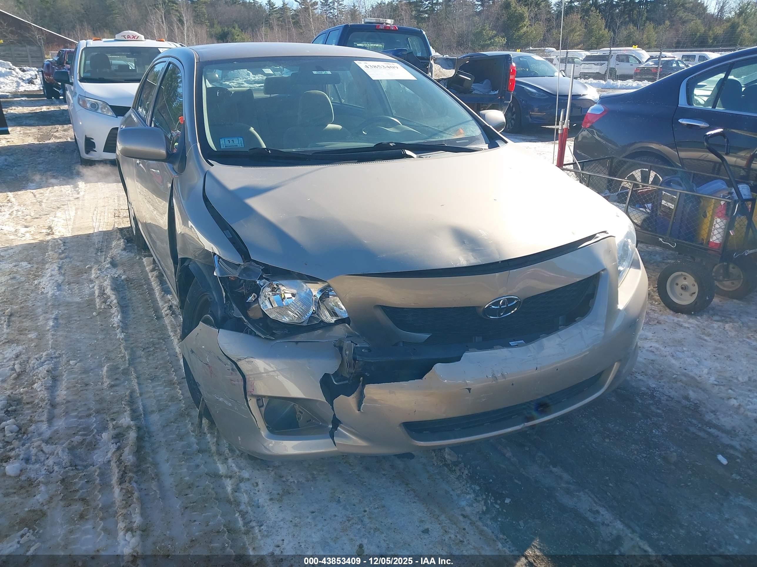 TOYOTA COROLLA image 6